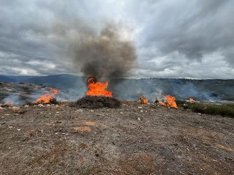 Image of fuels on fire, and smoke on the Ramona Fuel Break Prescribed Burn.