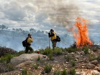 Image of fuels on fire, smoke, and firefighters working on the Ramona Fuel Break Prescribed Burn.