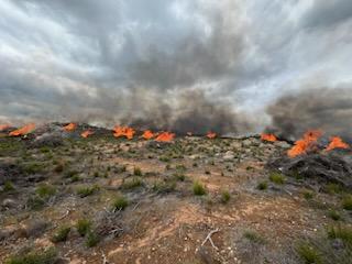 Image of fuels on fire, and smoke on the Ramona Fuel Break Prescribed Burn.