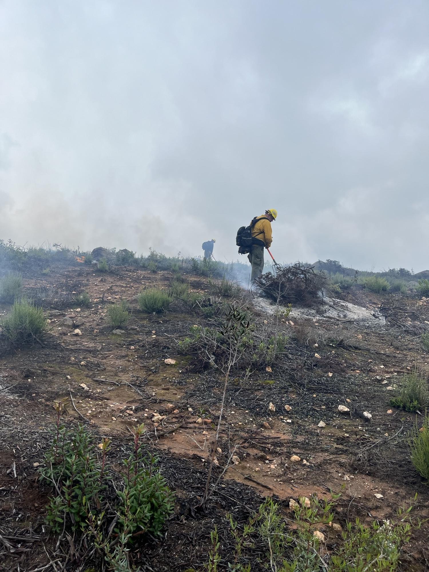 Image of a hillside with a firefighter working on the Ramona Fuel Break Project.