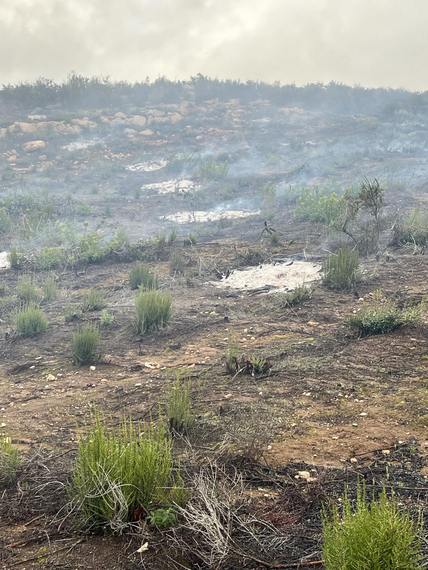 Image of a hillside with lots of smoke in the background.