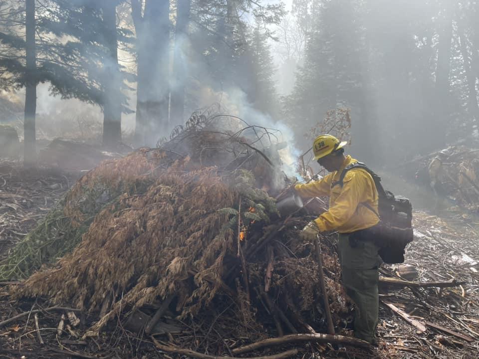 Image of a firefighter with a drip torch igniting a pile of fuel. There are large trees in the background, flames, and smoke. 