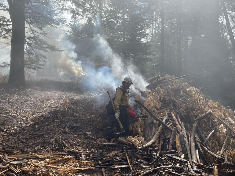 Image of a firefighter with a drip torch, and tool igniting a pile of fuel. There are large trees in the background, flames, and smoke. 