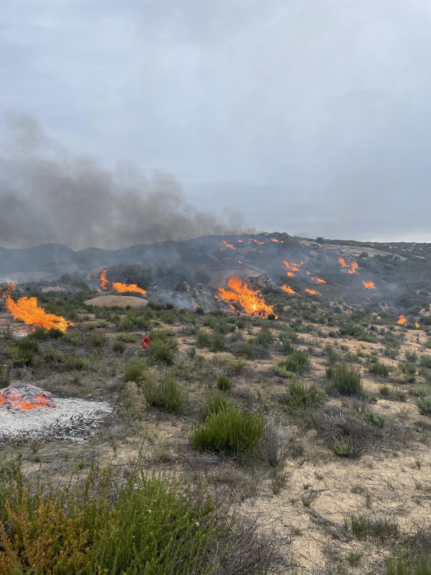 Picture showing fuels being consumed on the broadcast burn.