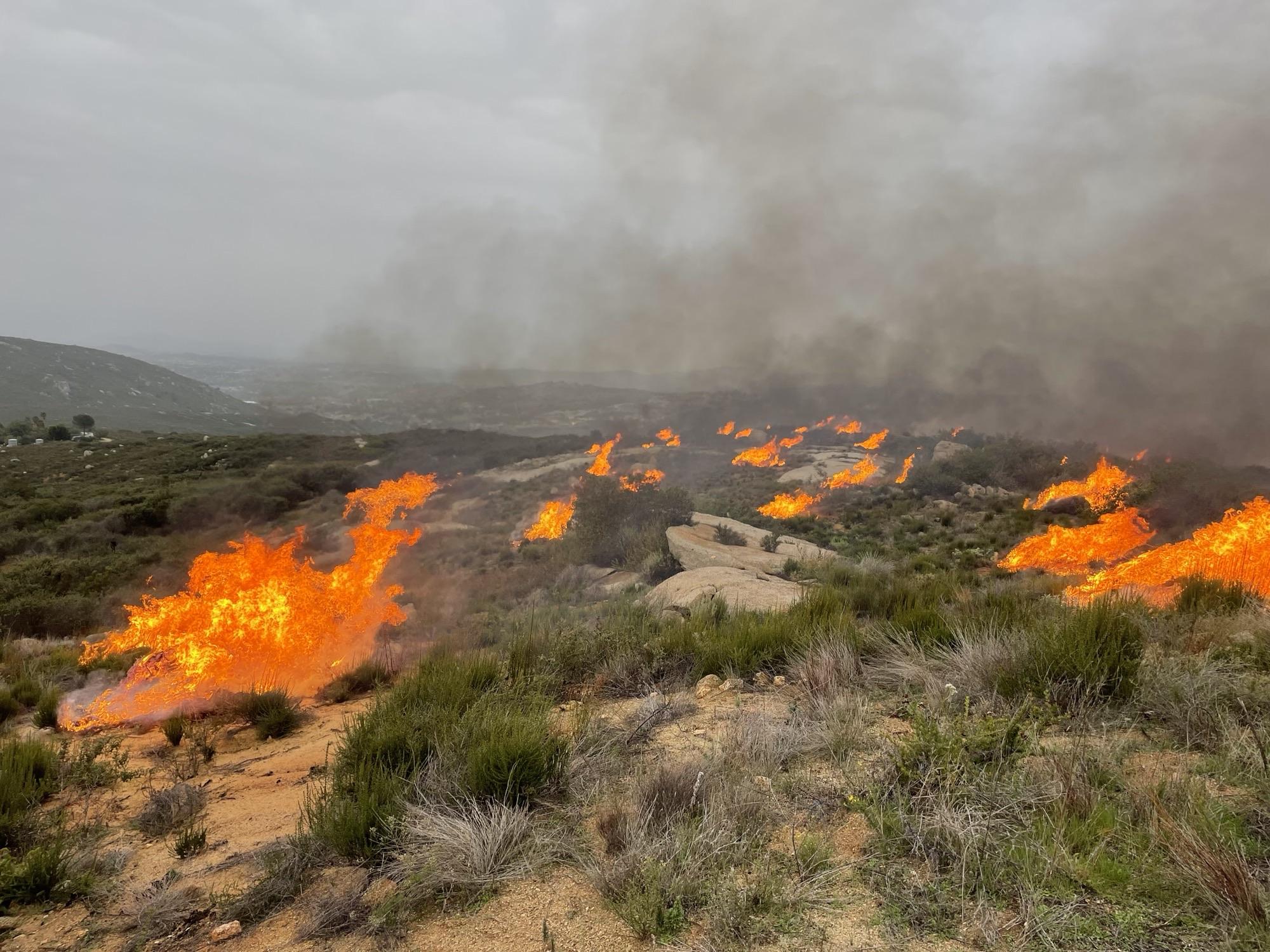 Picture showing fuels being consumed on the broadcast burn.