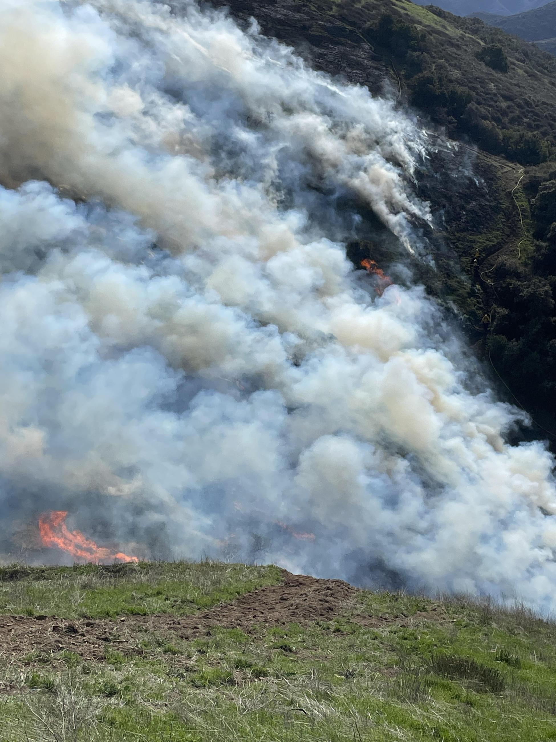 Picture from the ground showing smoke and flames on the North Main Broadcast Burn.