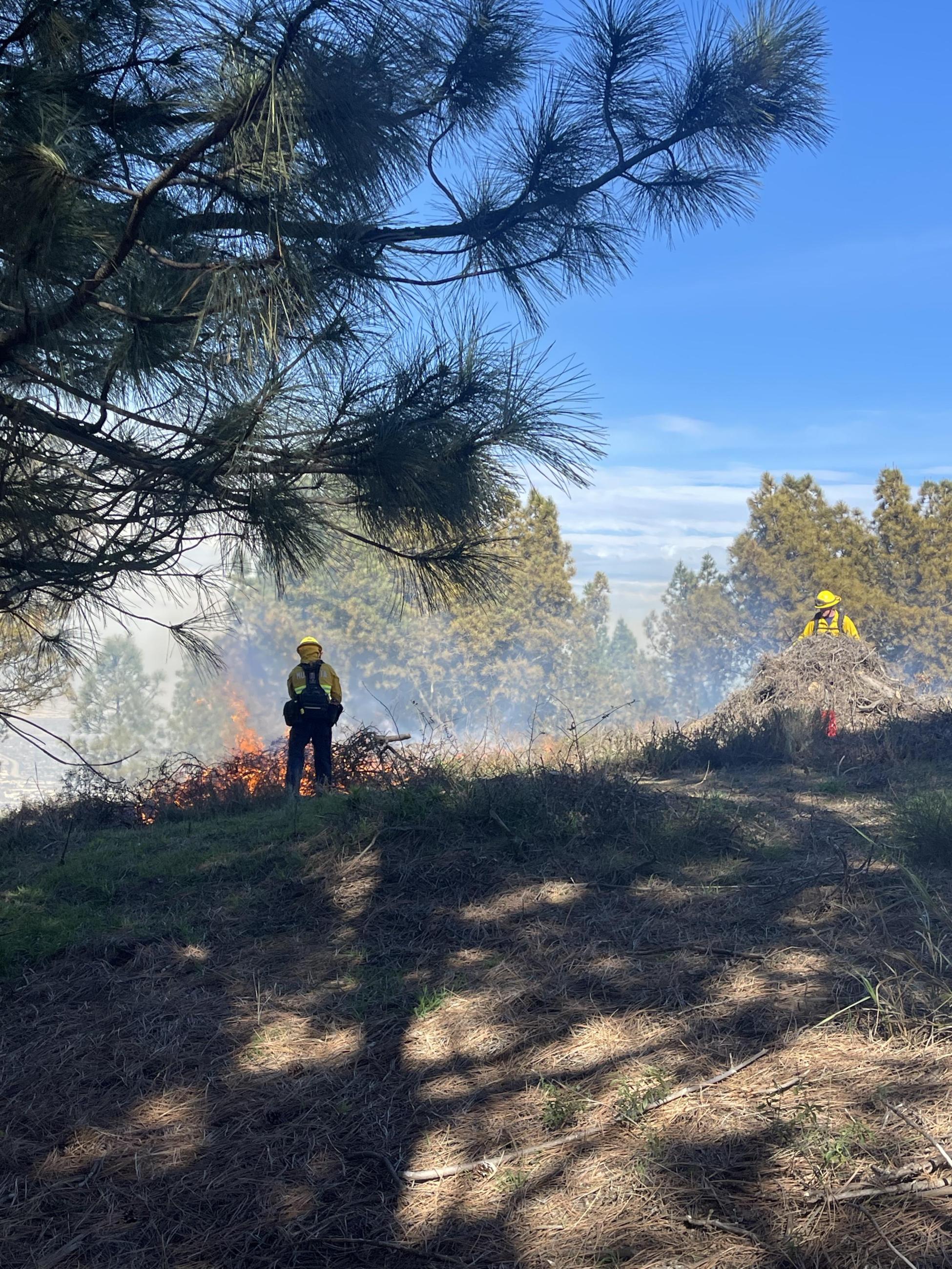 Picture of firefighters ignition burn piles around the North Main Broadcast Burn.