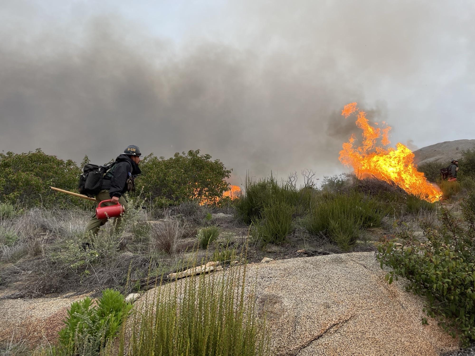 Picture of a firefighter monitoring the broadcast burn.