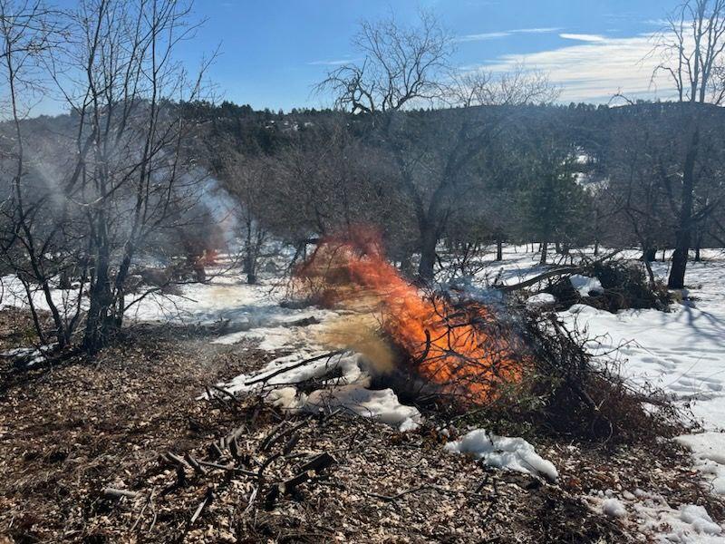 Image of snow on the ground with fire and smoke on the Mount Laguna Prescribed Burn.