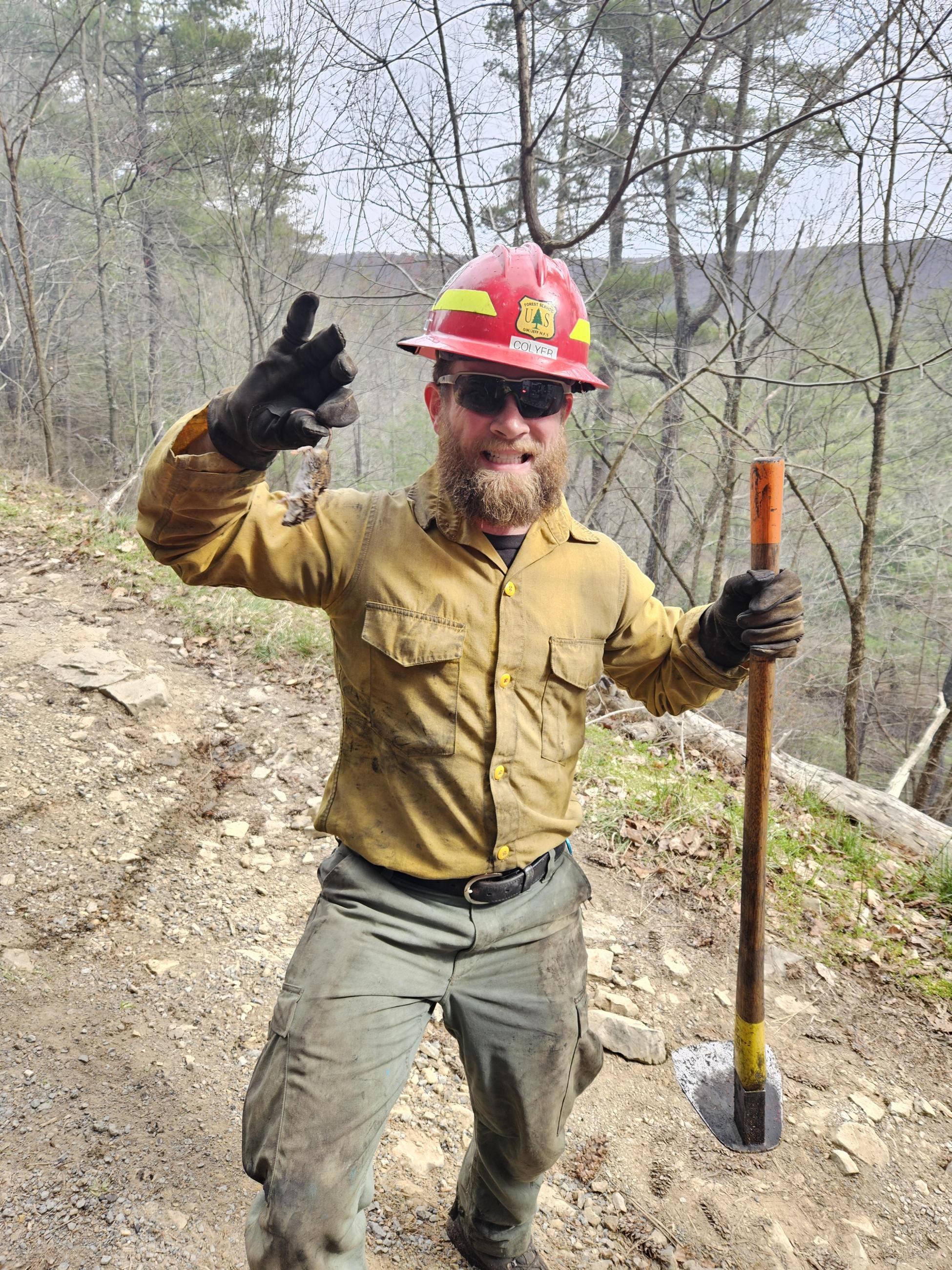 Wildland firefighter holds up mouse and hoe with forest in background