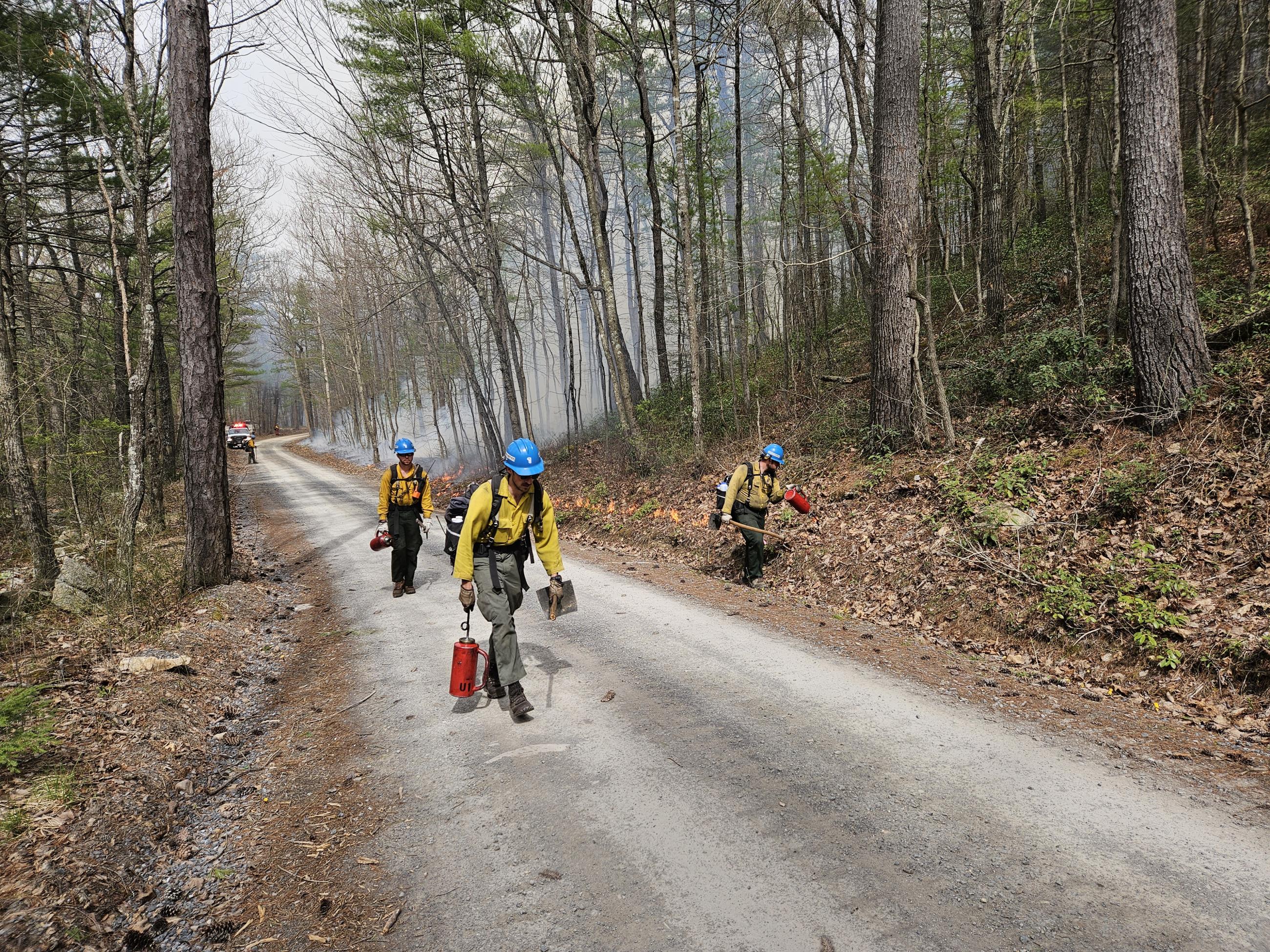 Two firefighters with equipment walk up the road while a third firefighter at the edge of the road uses a drip torch