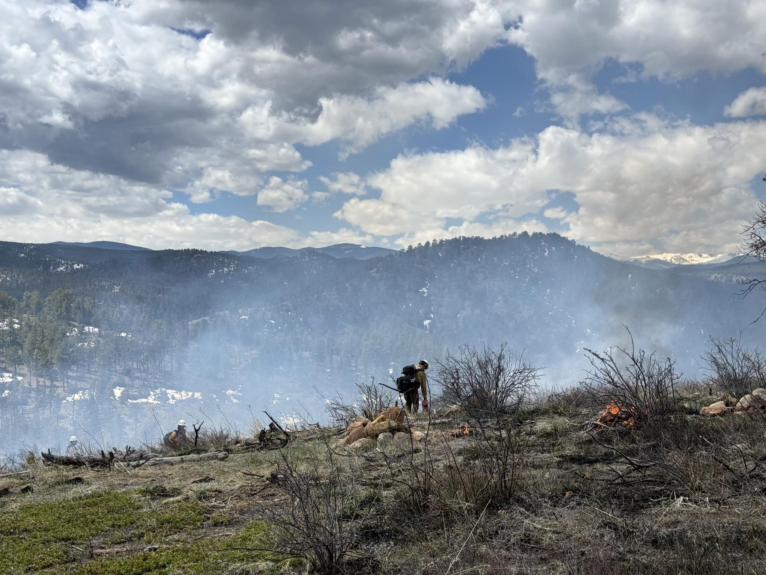 A firefighter stands in a field of grass and shrubs with smoke in the background. 