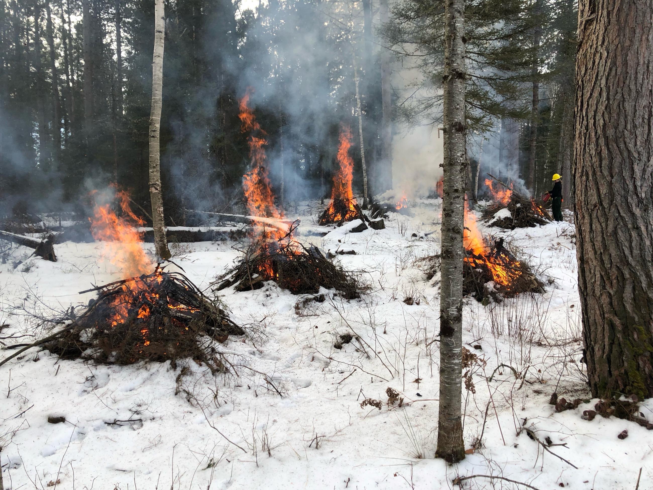 Pile burning near Dinner Lake , Michigan 
