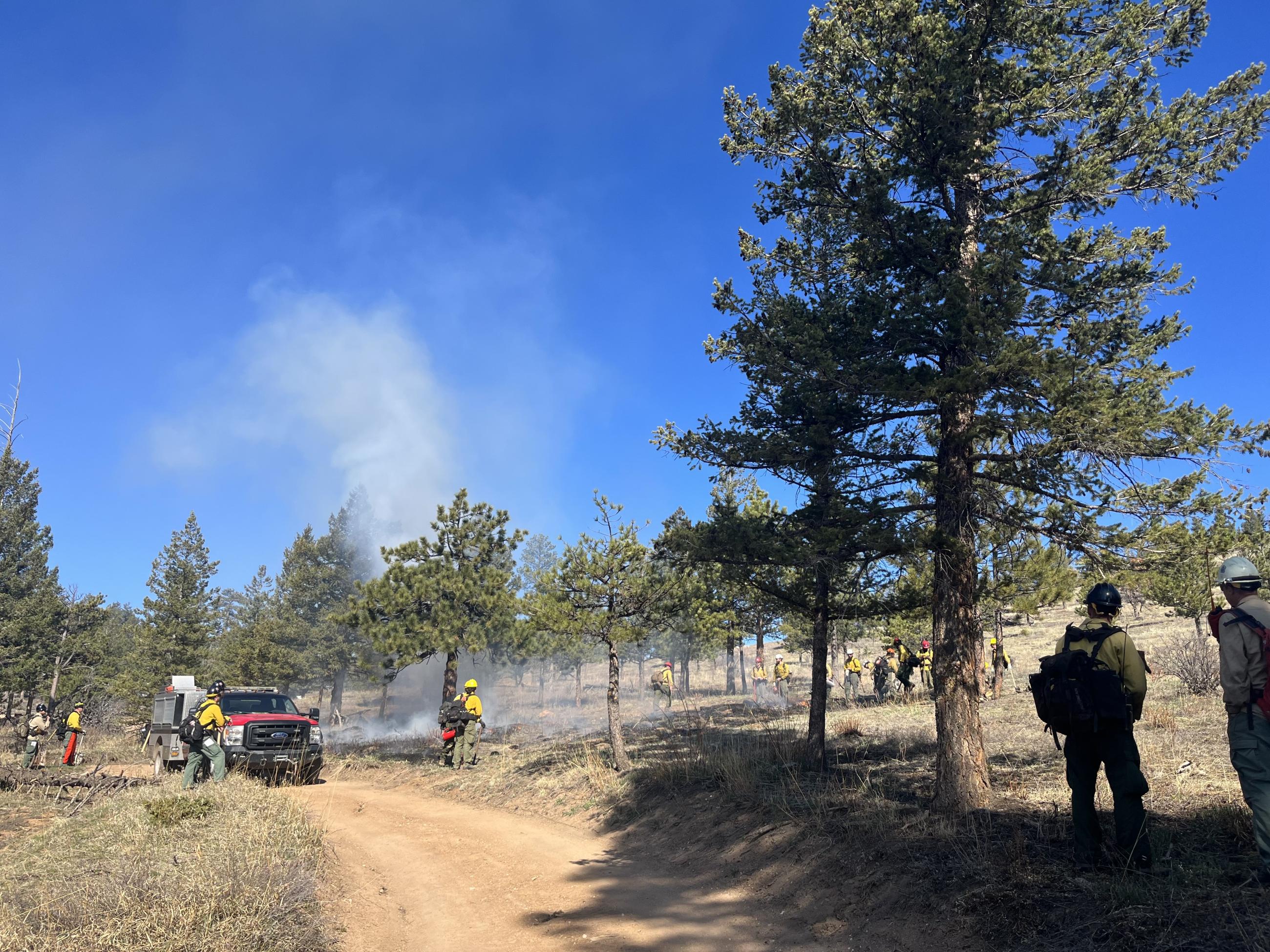 Several firefighters stand near smoke and vehicles while working on a prescribed burn. 