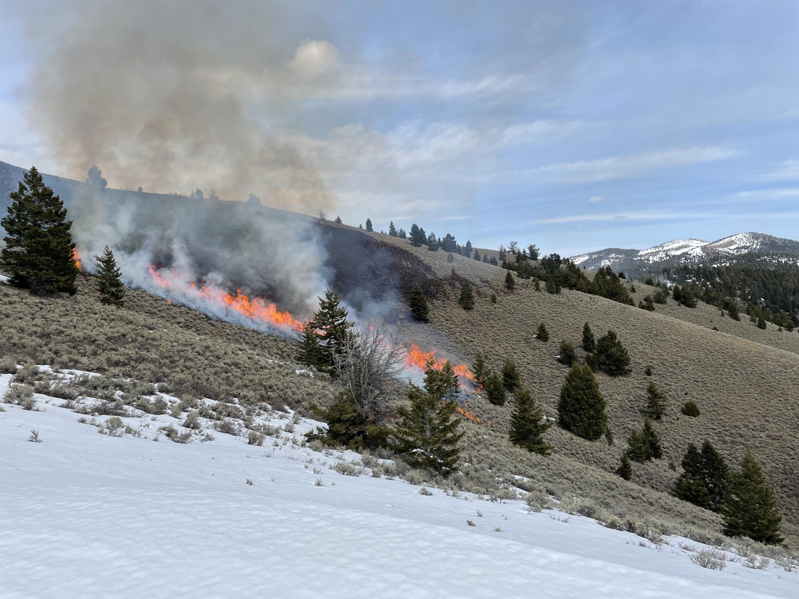 Picture showing prescribed fire operations and burning fuels, adjacent to the unit boundary covered by snow.
