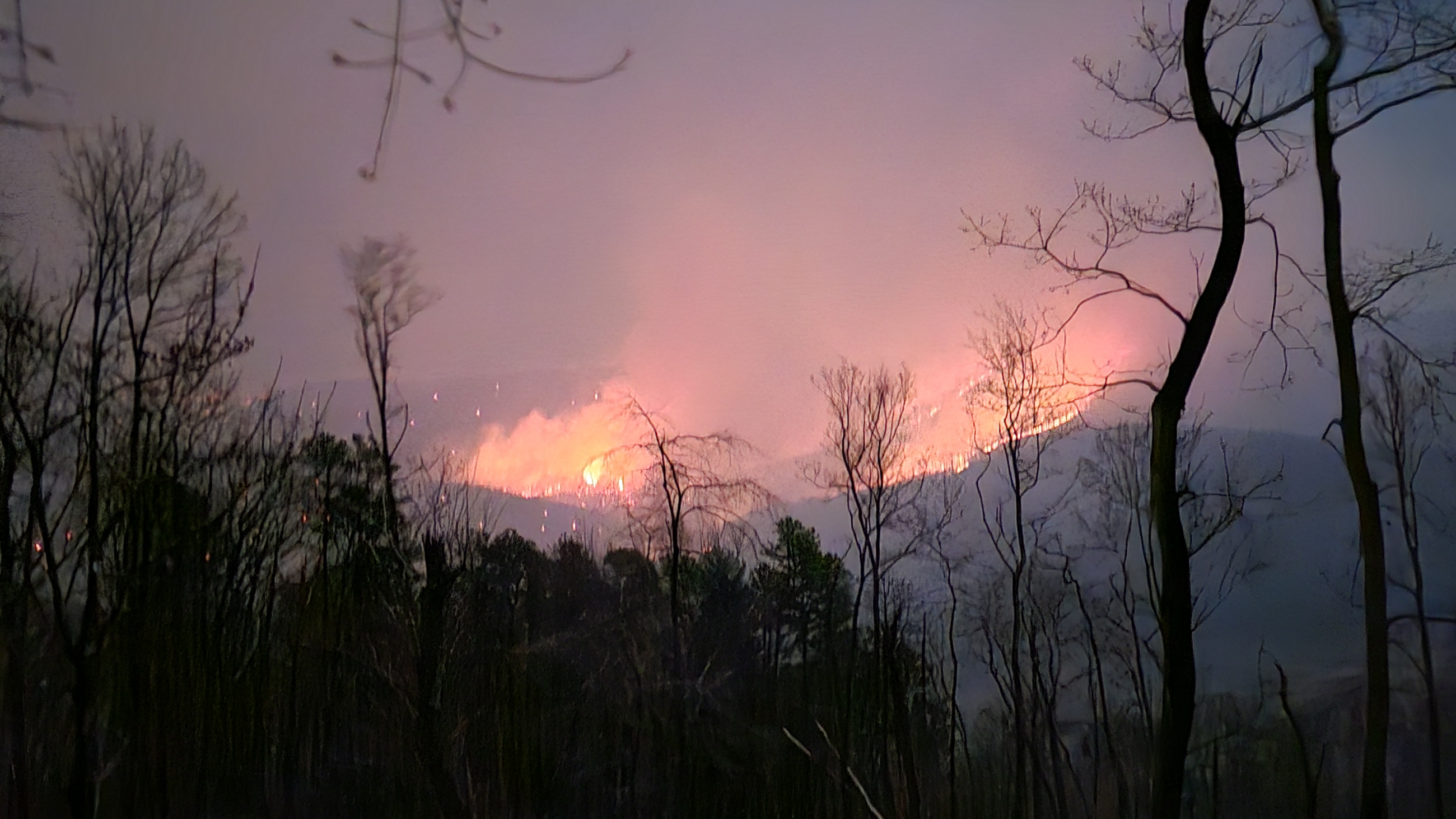 Waites Run Fire in WV looking towards VA from March 20, 2024