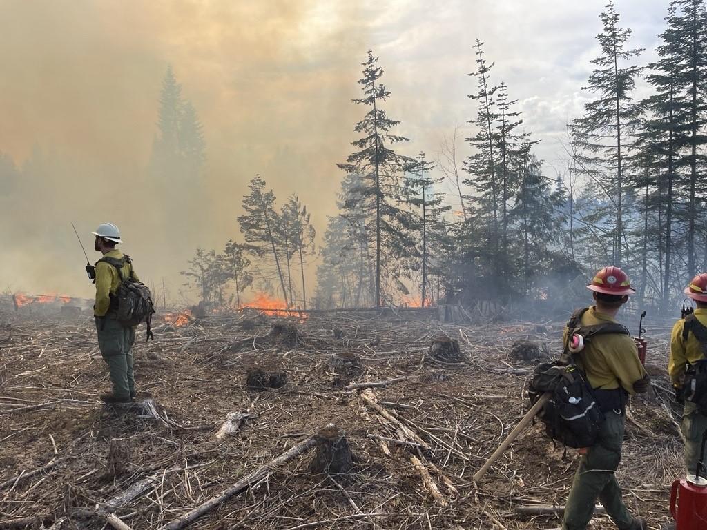 Three firefighters, in yellow Nomex shirts and green Nomex pants, observe prescribed fire below them. One firefighter on the left is using a radio, while the other two stand-by for further direction.