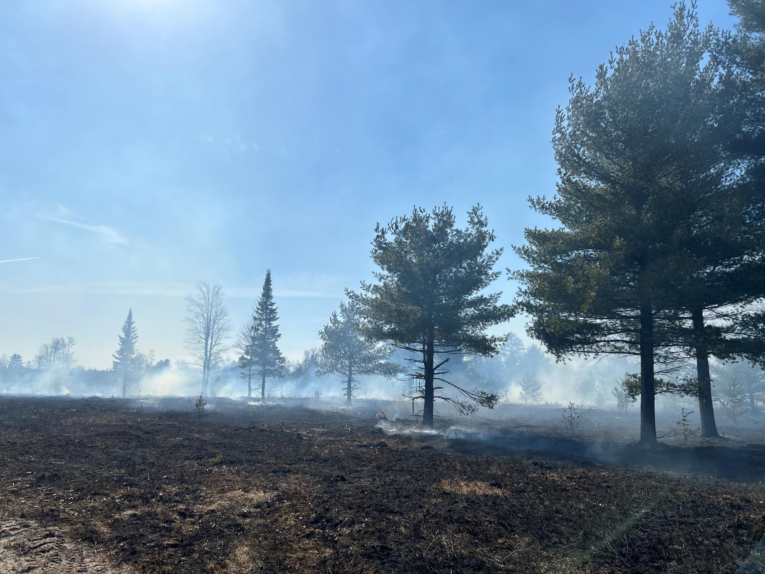 Prescribed fire in a wildlife opening near Rapid River, Michigan.