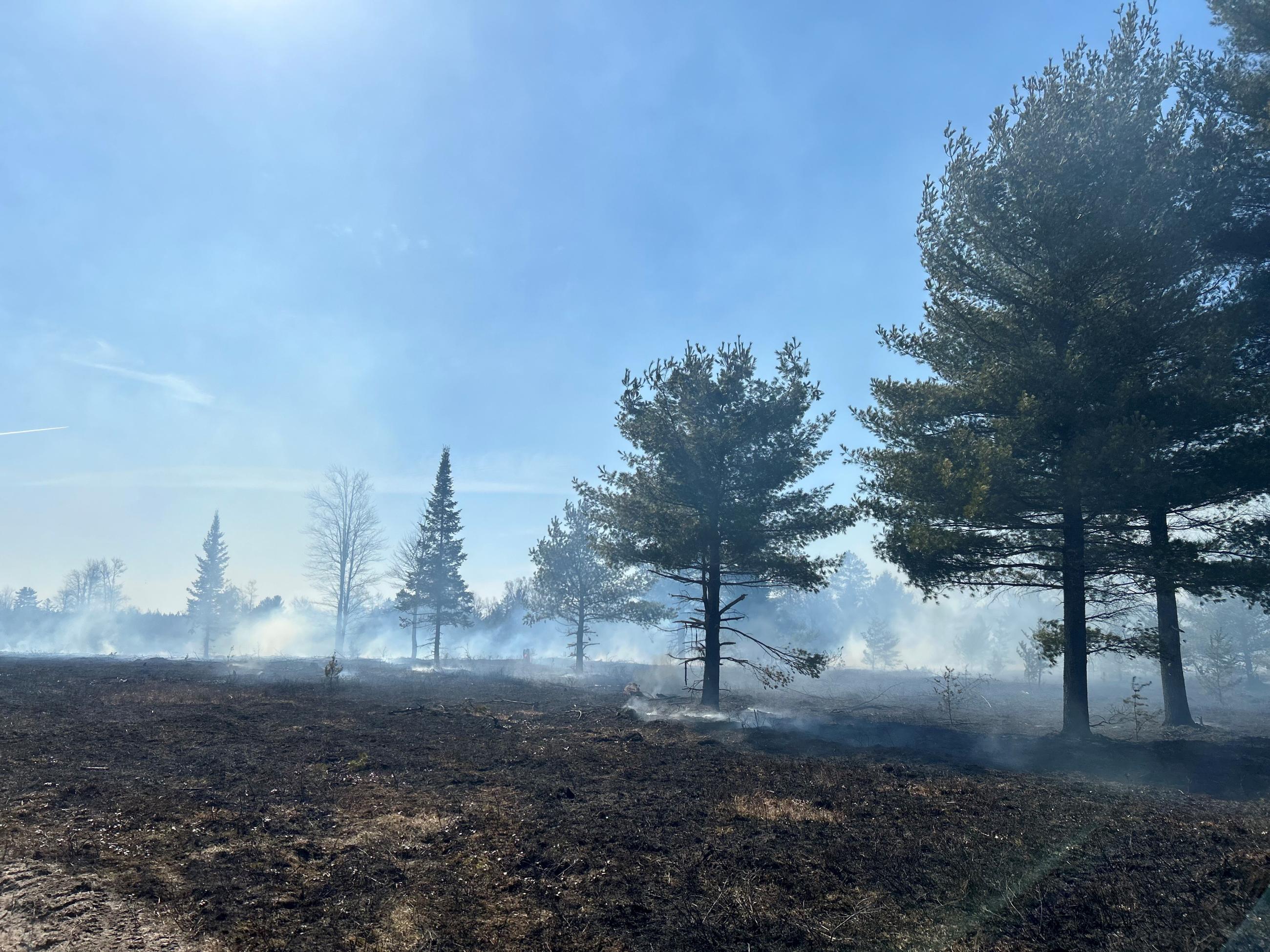 Prescribed fire in a wildlife opening near Rapid River,  Michigan. 