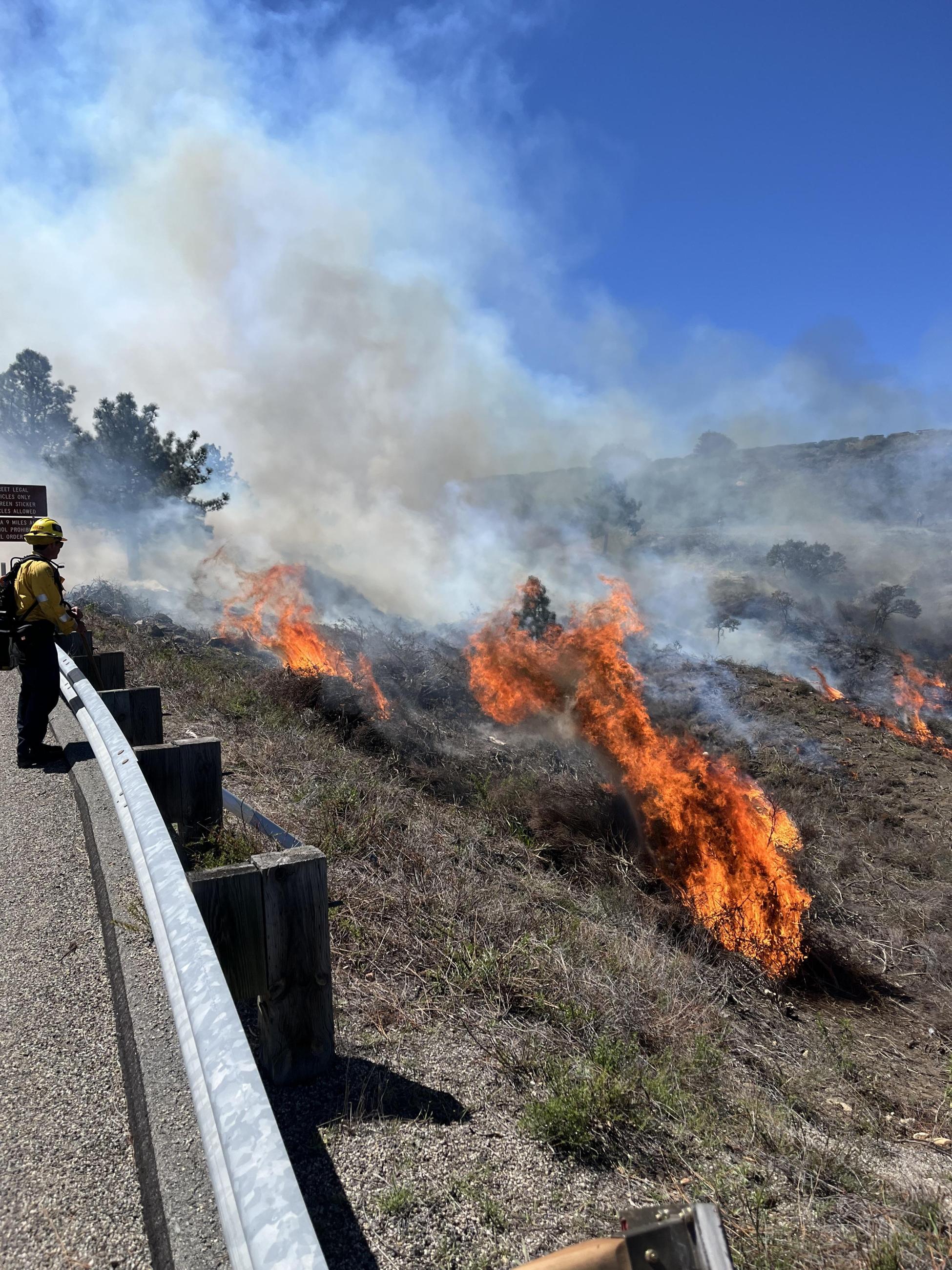 Picture shows firefighter standing on the side of a road in front of a guard rail. The firefighter is looking down the hill side that has flames and smoke in the background.