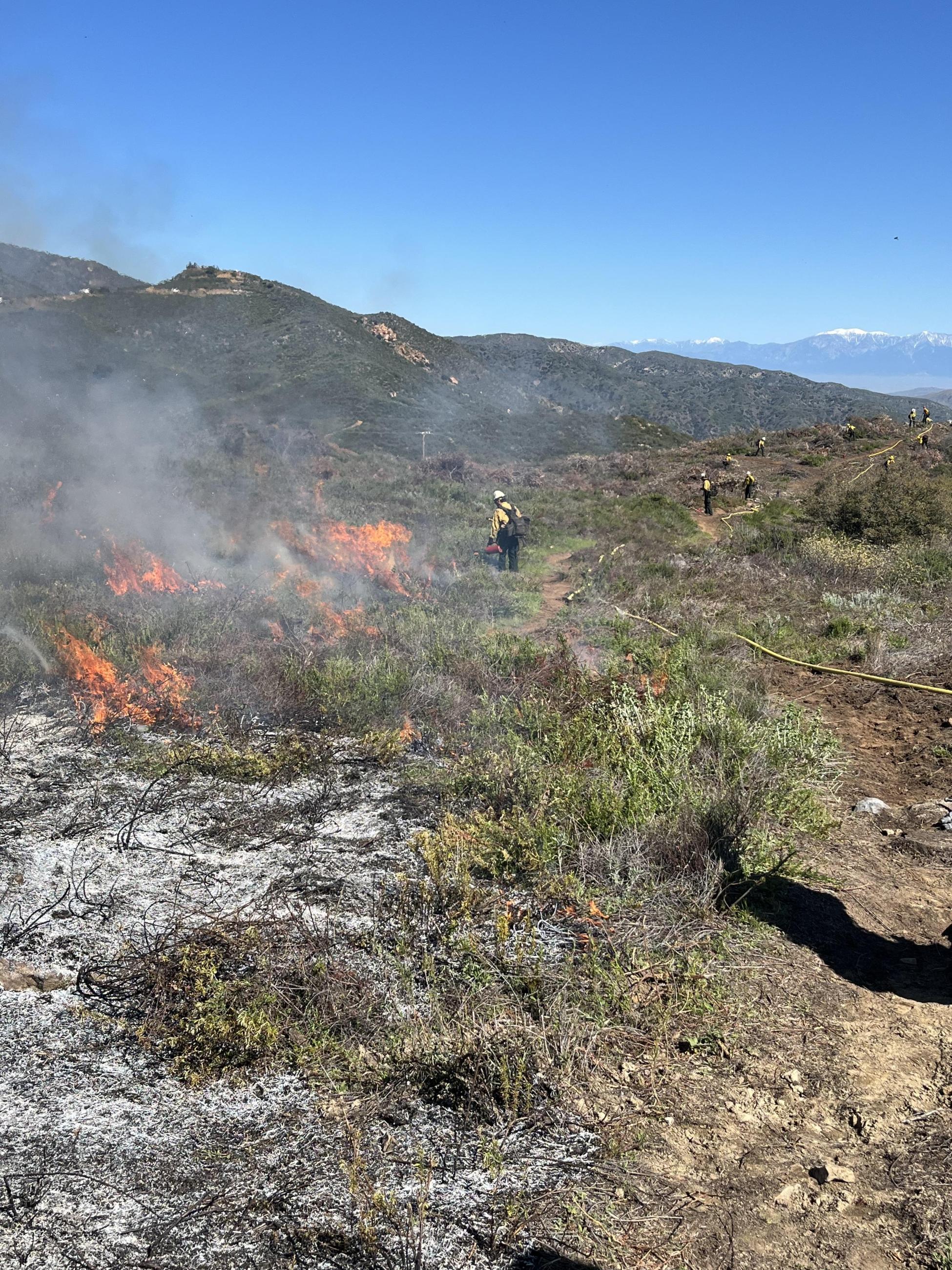 Picture shows several firefighters on a mountain. Some have a drip torch igniting the fuels, while others are monitoring the burn. There is fire hose on the ground.