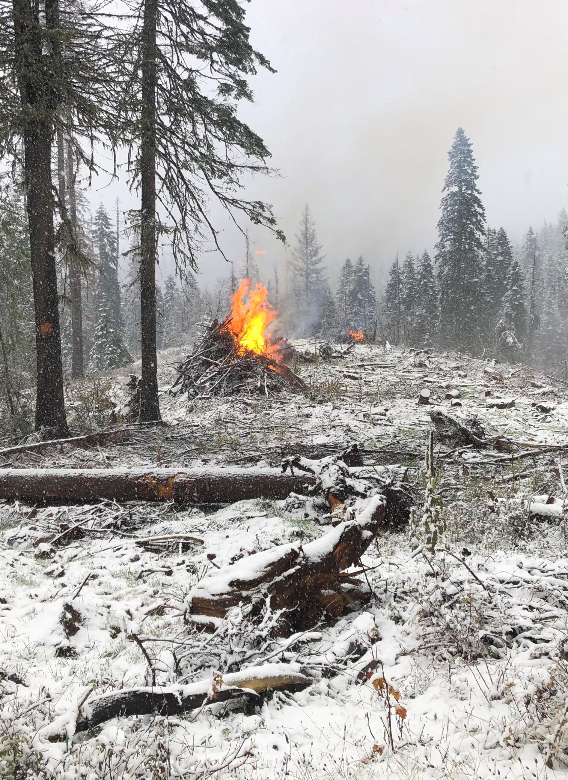 Image of a snow-covered forest-floor with a large pile of timber burning within the middle.