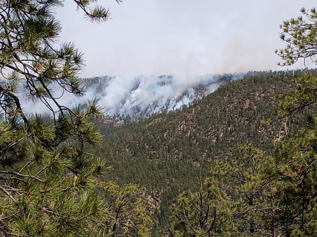 Wildfire smoke billows up on a distant mountain side surrounded by heavy conifer trees.