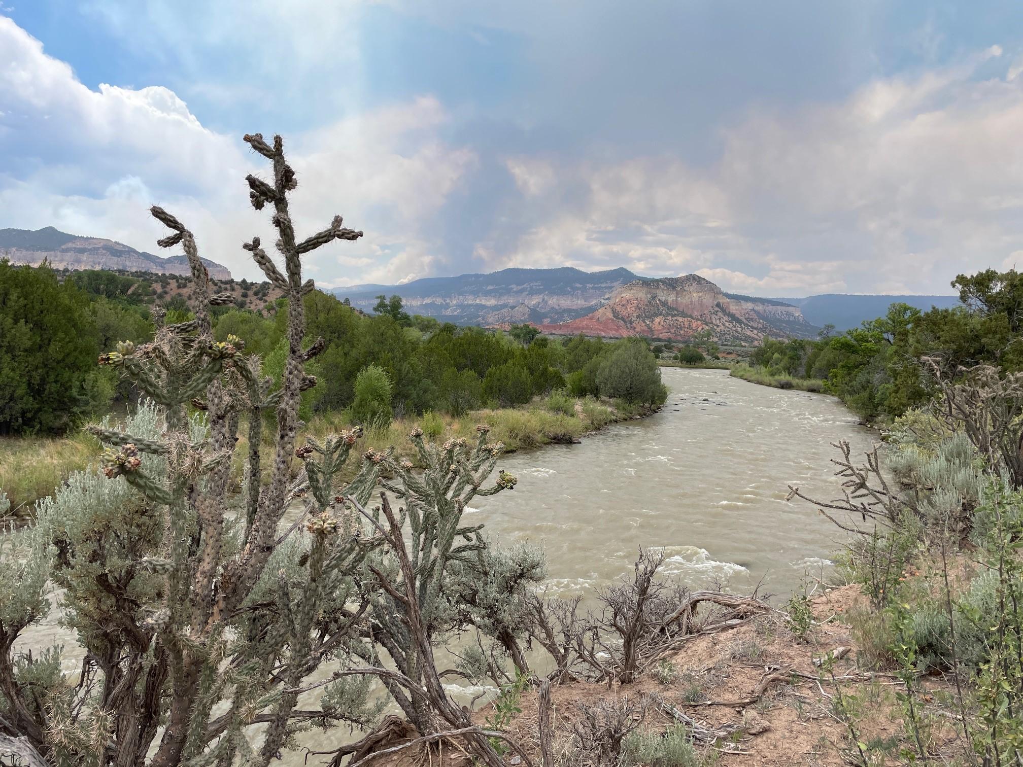 Indios Fire smoke photo from May 28, 2024