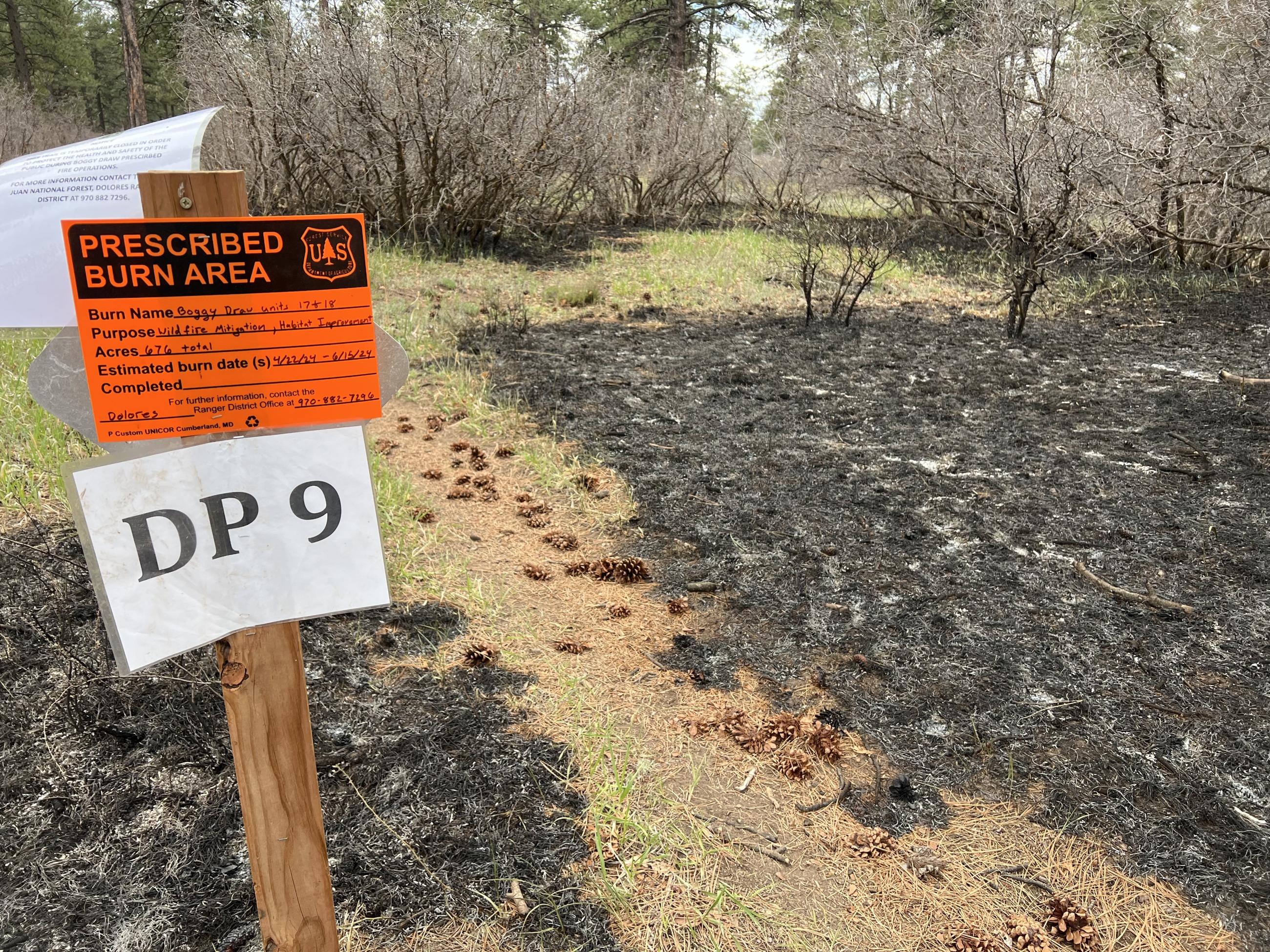 A sign post next to a trail with burned areas on either side of the trail.