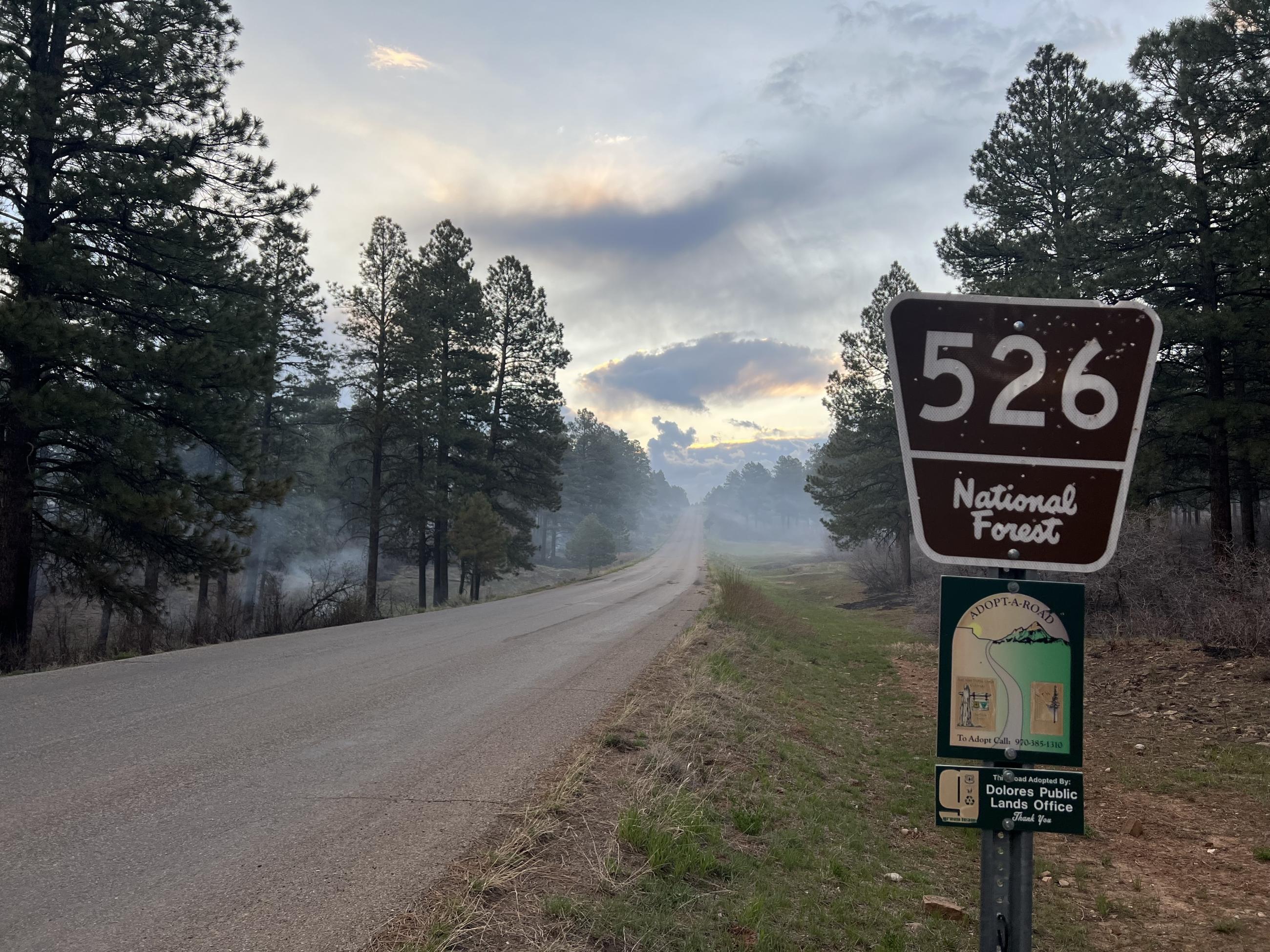 A forest road is shown with light smoke drifting across it in the distance.