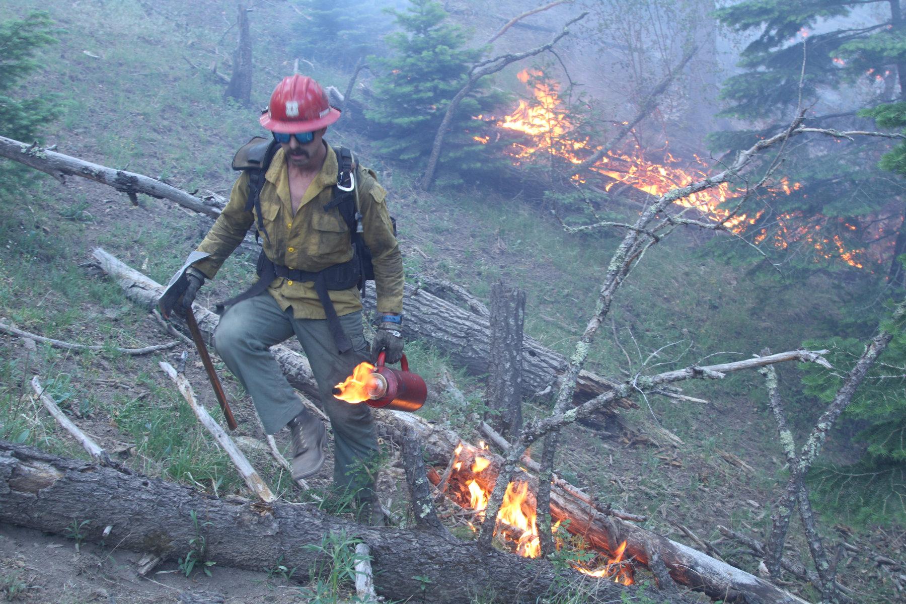 A firefighter using a drip torch to remove fuels 