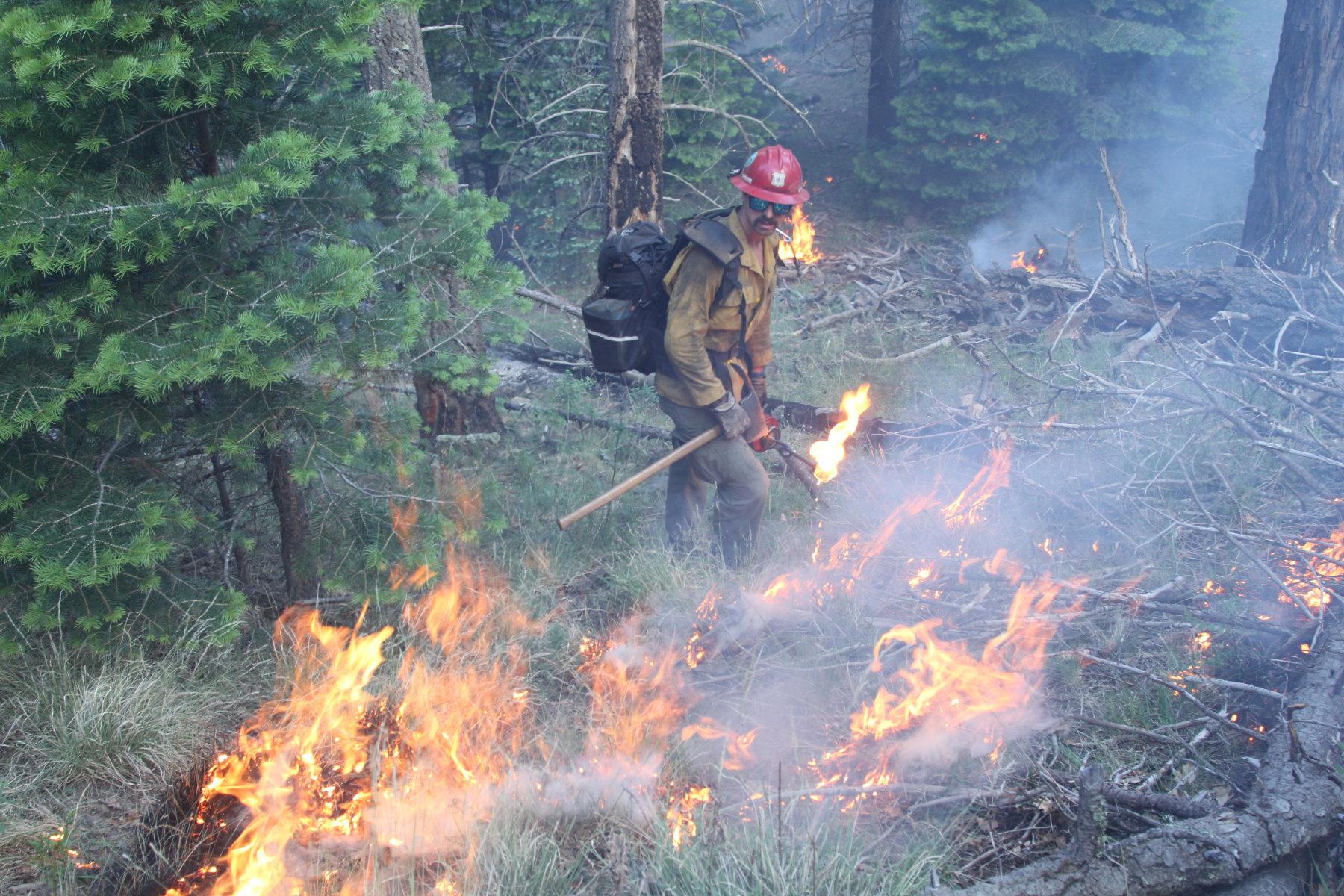 Mormon Lake Hotshot infighting ground fuels  with a drip torch
