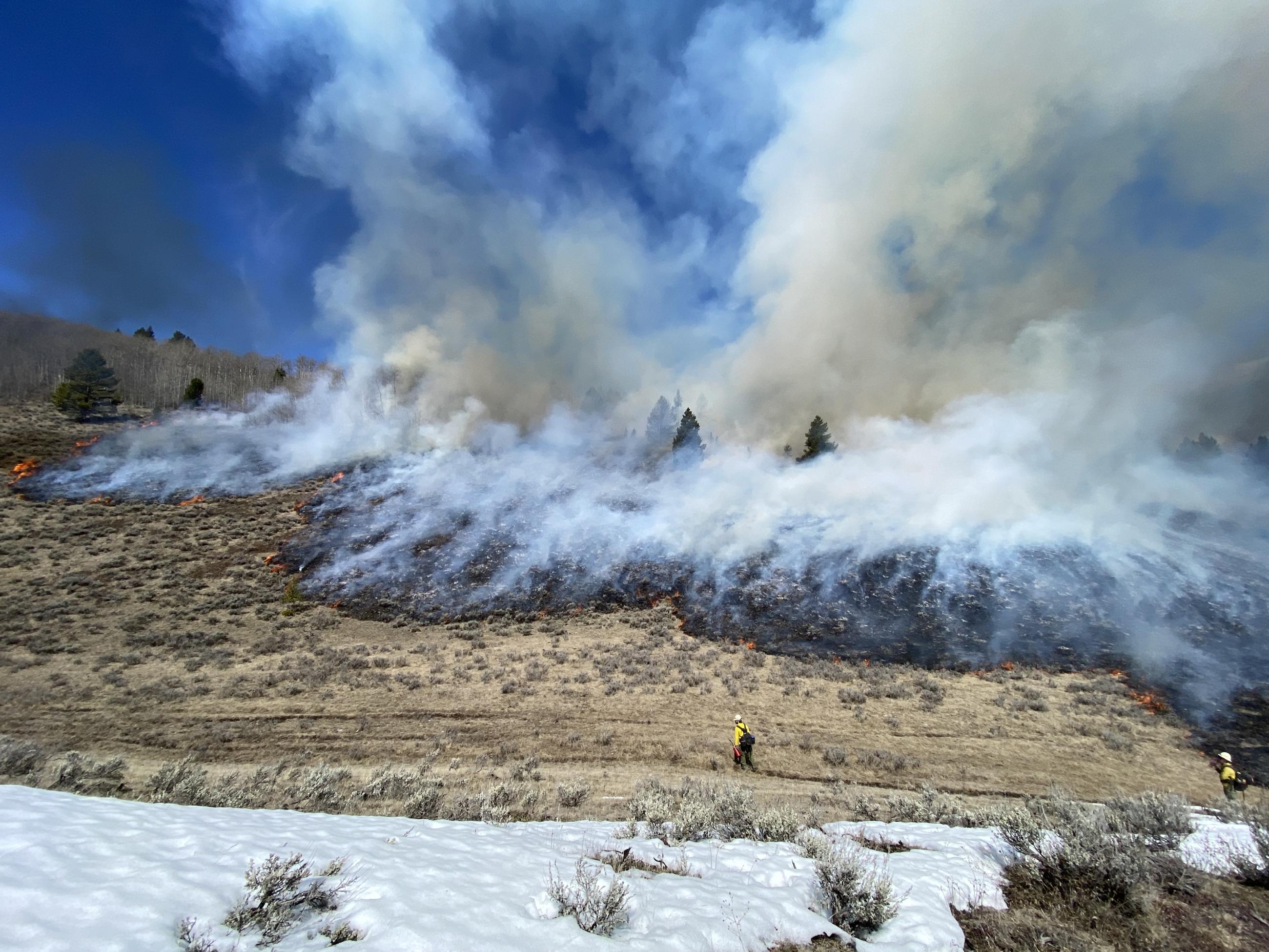 Ignition by firefighters with drip torches, along the unit boundary where snow drifts remain.