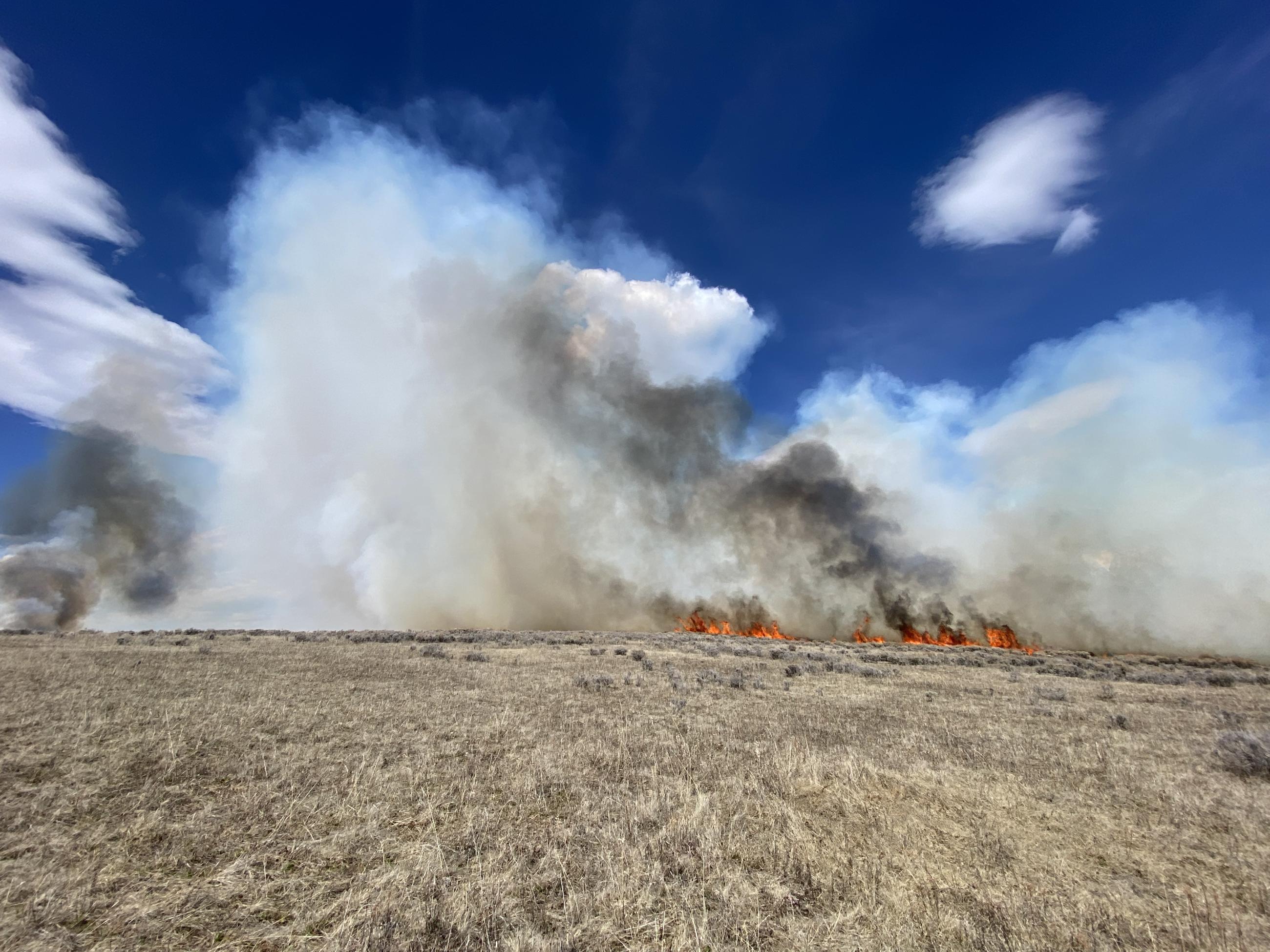 Beginning of ignition and flames moving through the grass fuel type, with smaller smoke columns beginning to form.