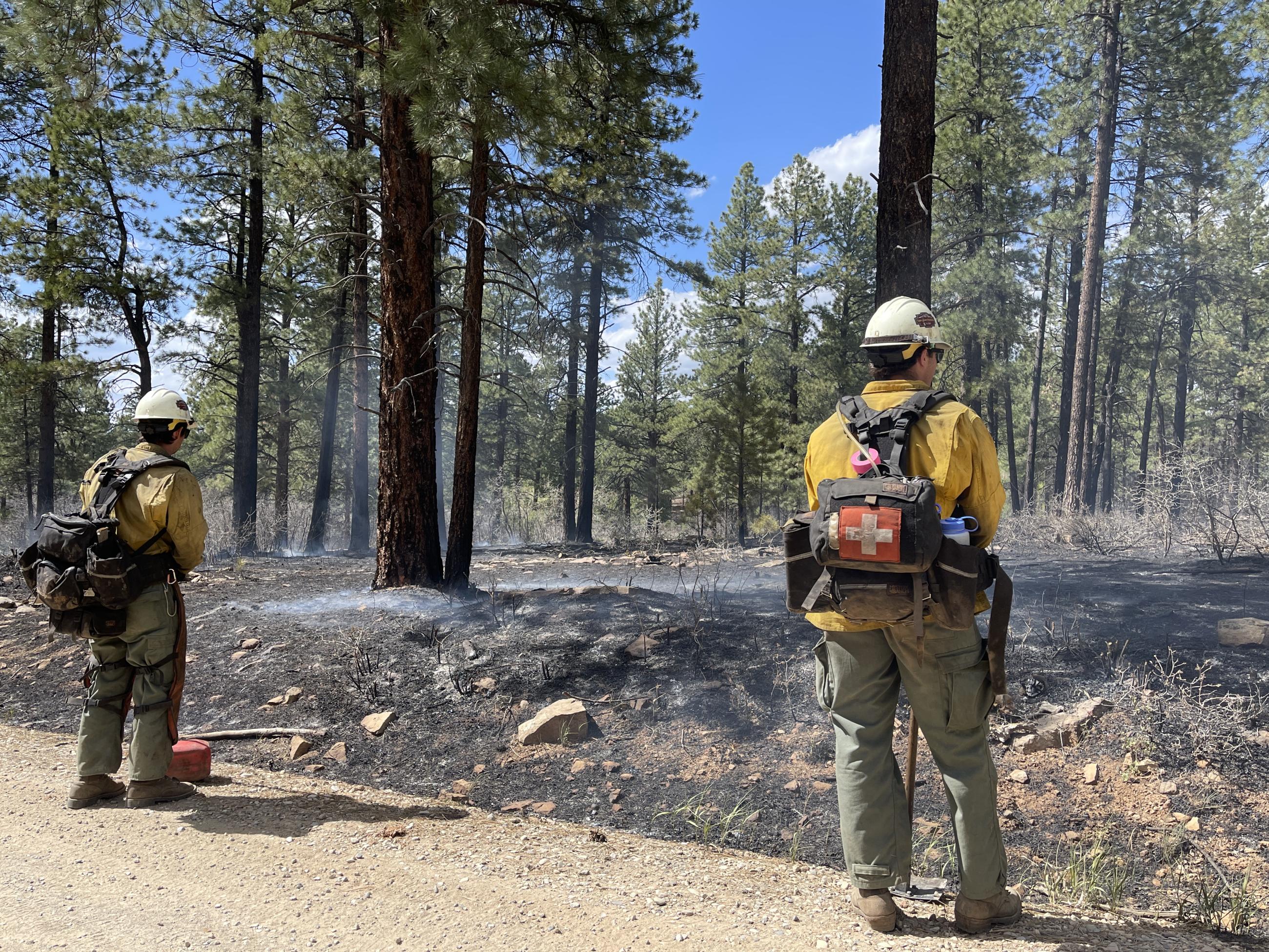Two firefighters stand on a fireline and watch the fire area to make sure no fire escapes