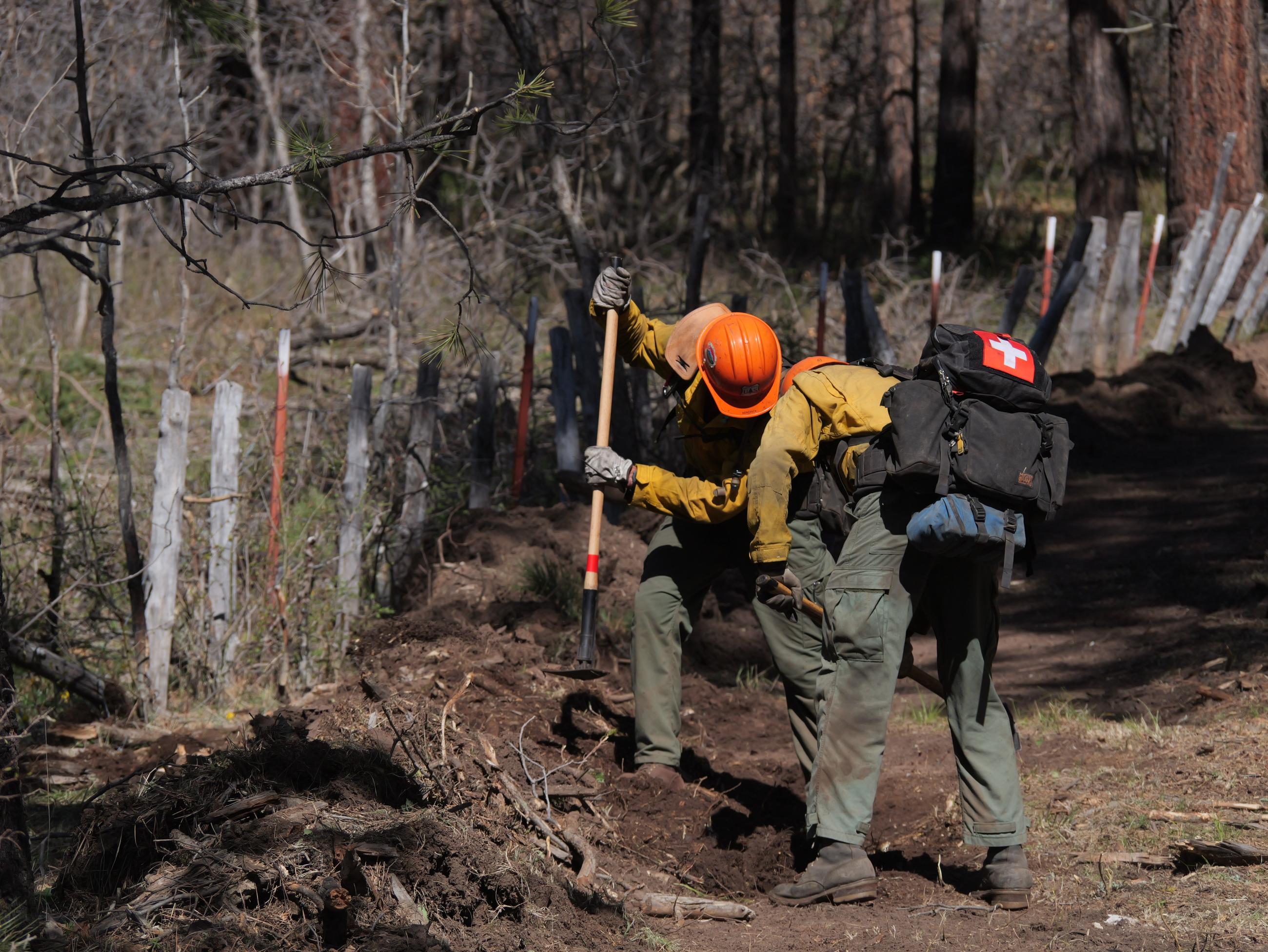 Two firefighters dig along a fence line to improve a fire line during the Spruce Creek Fire.