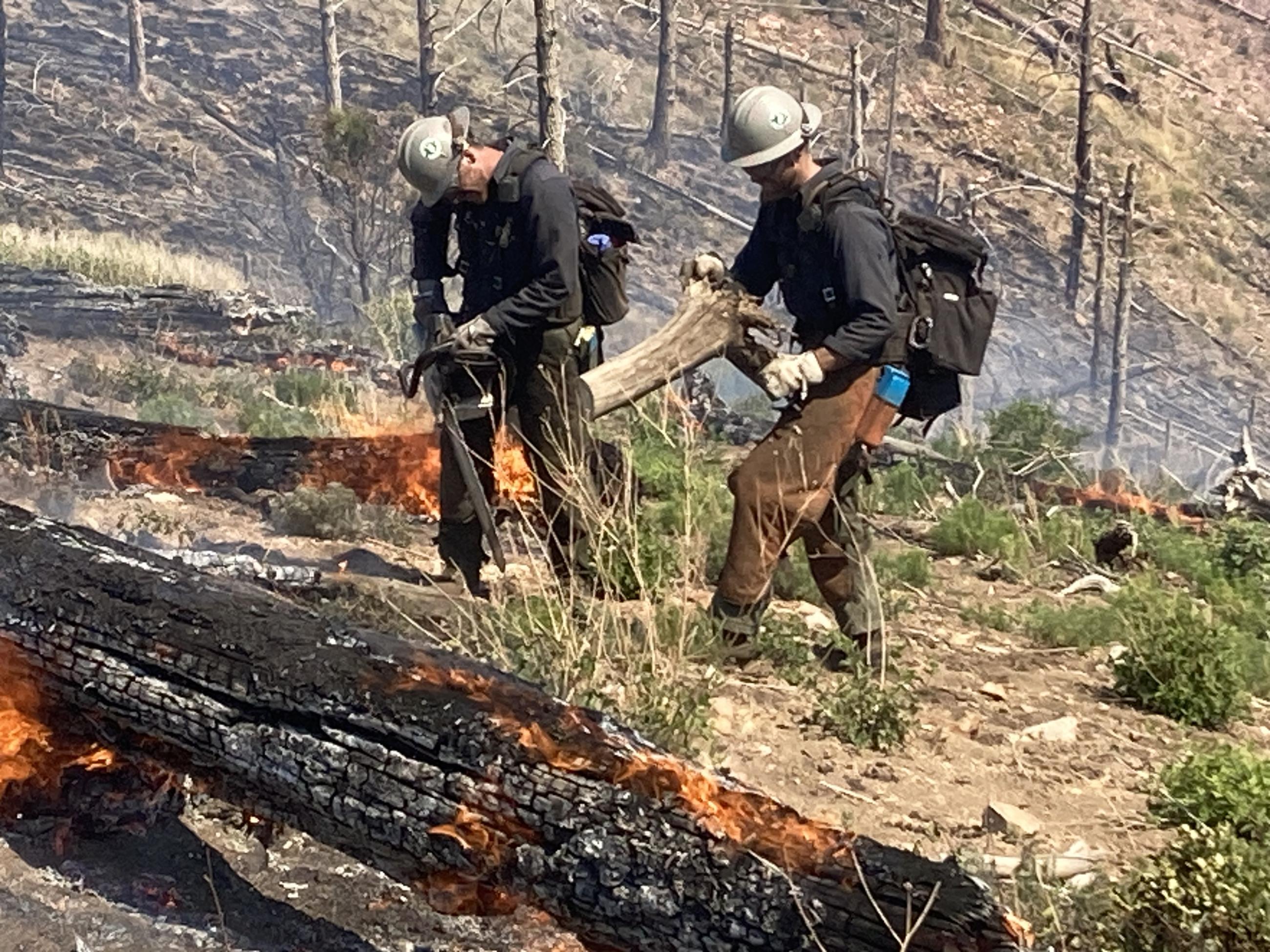 Firefighters remove debris using chainsaws in a wildfire. 