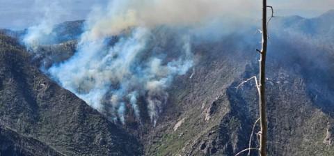 A picture of the Blue 2 Fire from the air. The fire is approximately 48 acres and is burning within the White Mountain Wilderness in an area previously burned by the Little Bear fire in 2012. This area has mostly dead and down fuels in steep and rugged terrain with numerous snags in the area. 