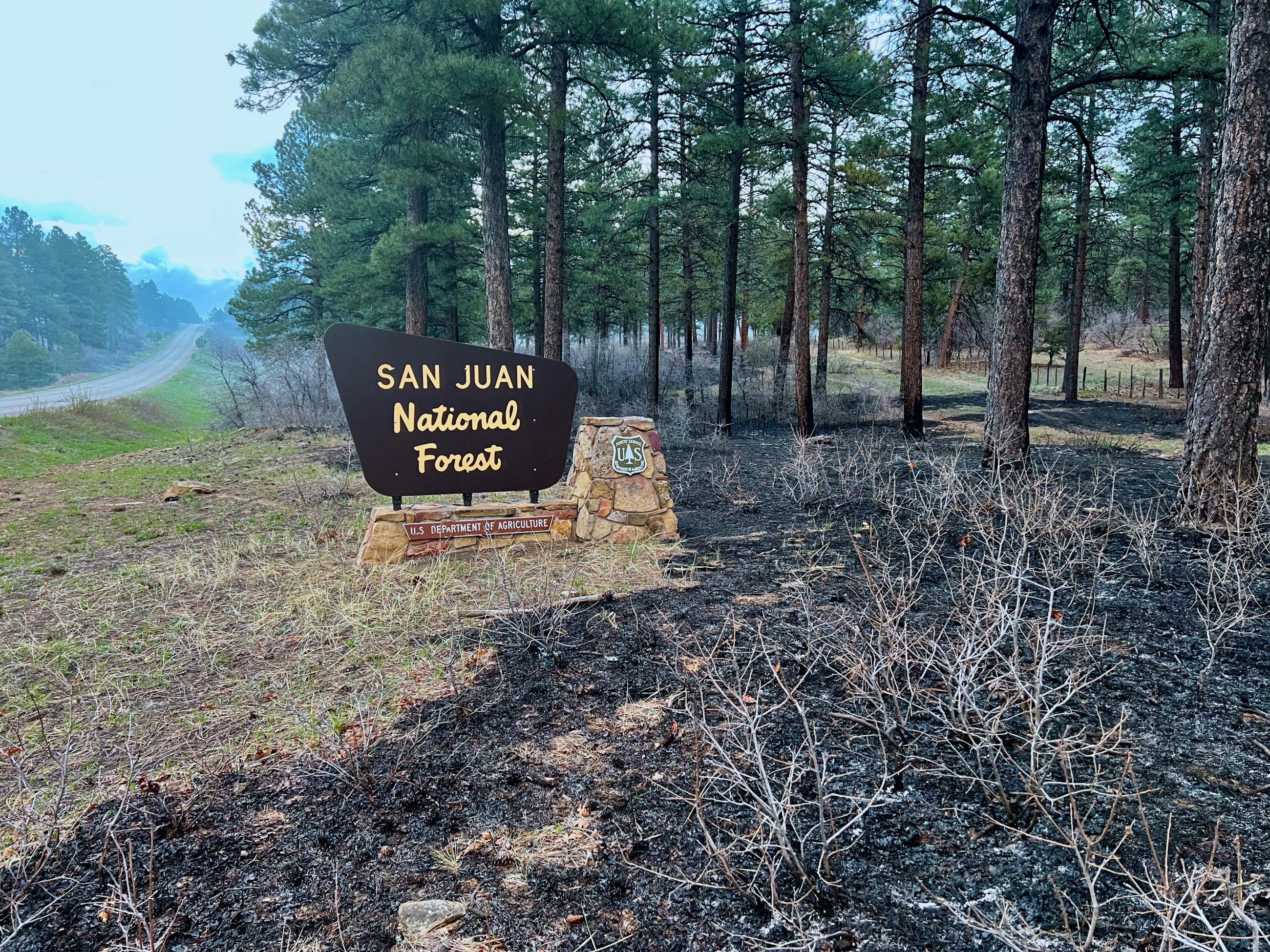 A burned grassy area is seen near a "San Juan National Forest" sign along a highway.