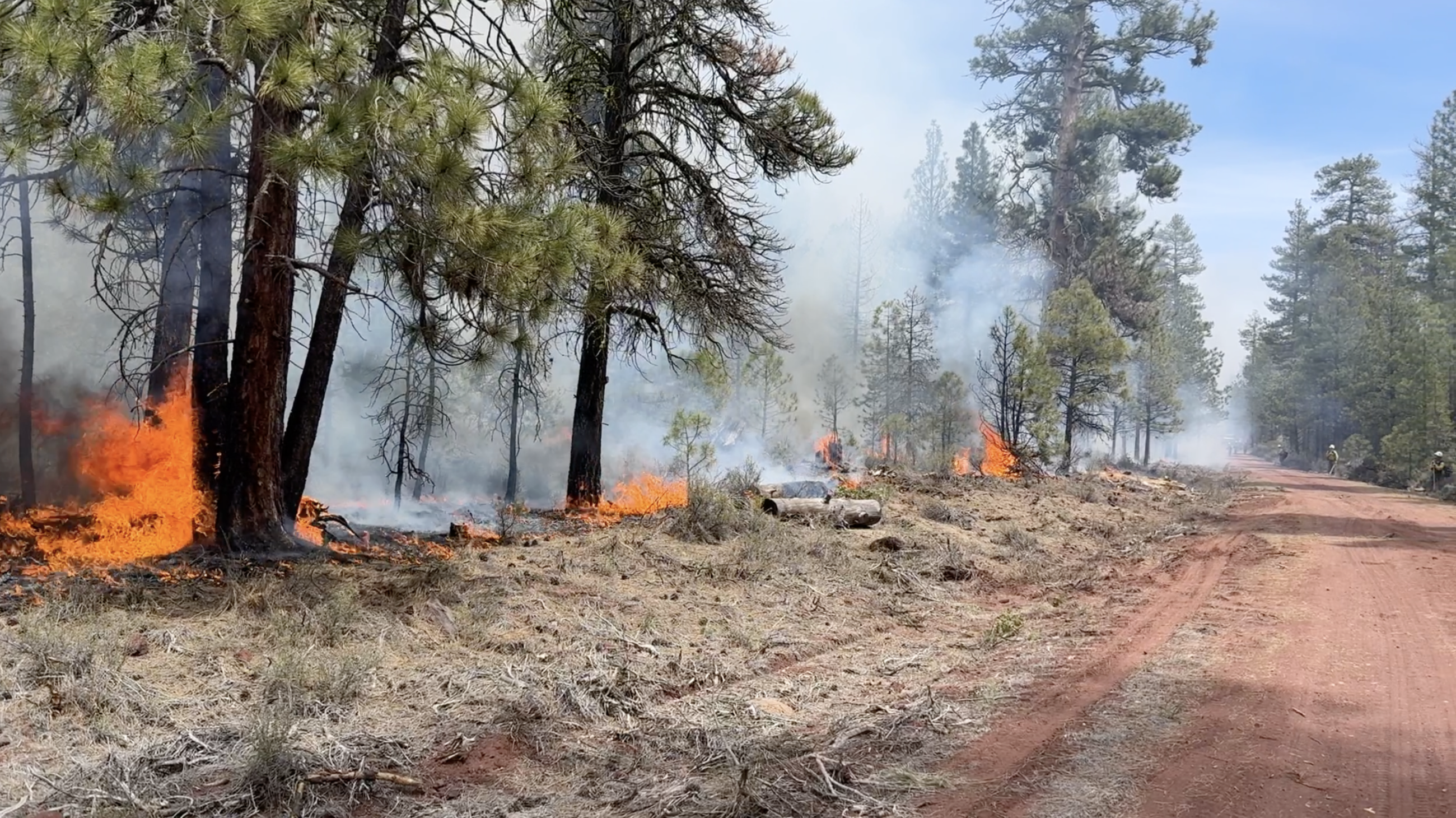 Firefighters line out to hold the control line during a firing operation