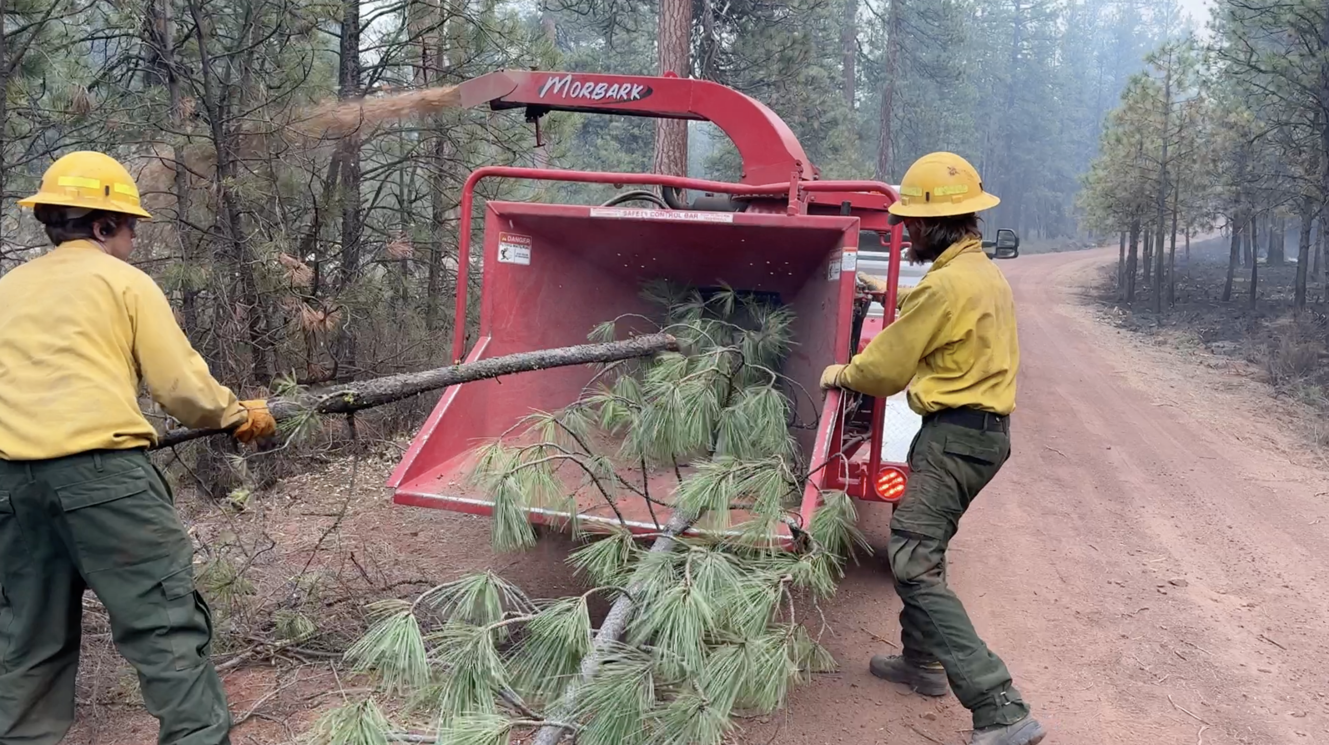 Two firefighters put small trees into  a red chipper 