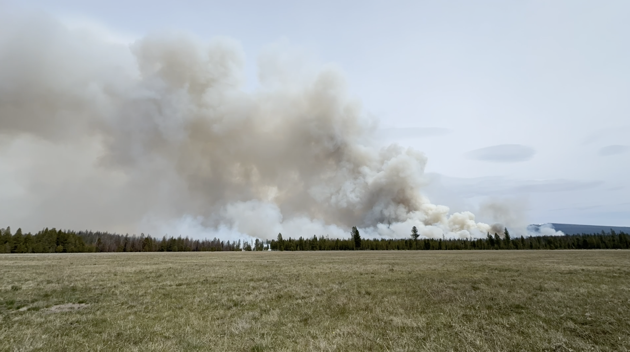 A smoke column can be seen with a green meadow in the foreground