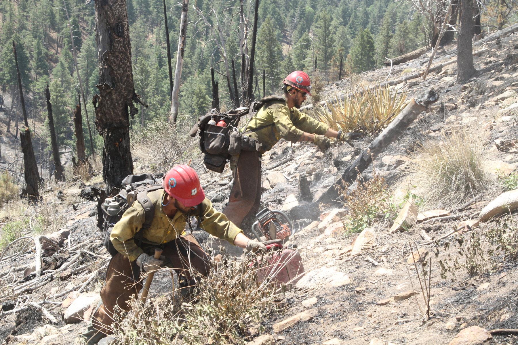 Two wildland fire fighters clear debris along a steep mountainside.