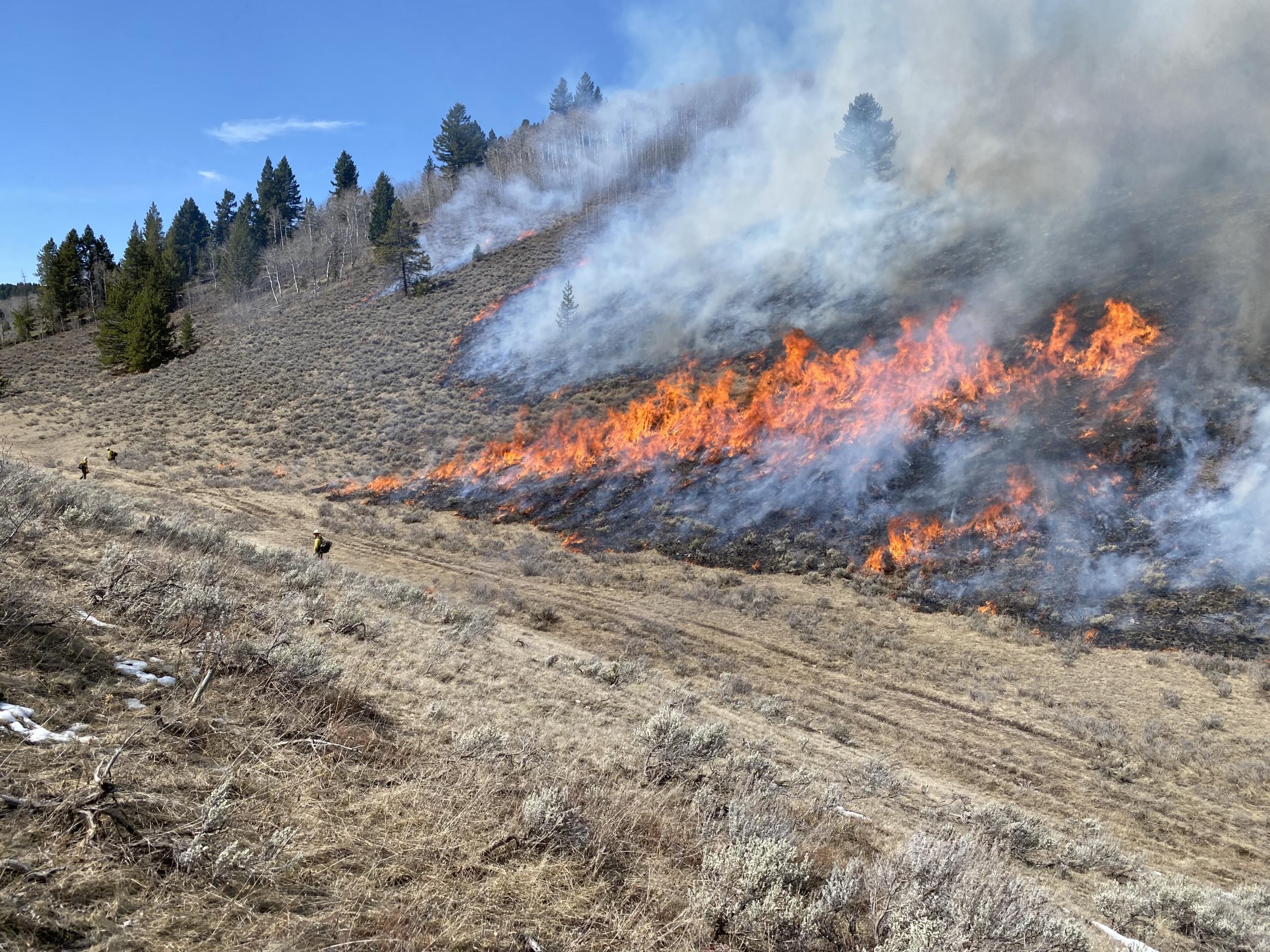 Photo showing the anchor point, from which the flames move and progress upslope to the right.