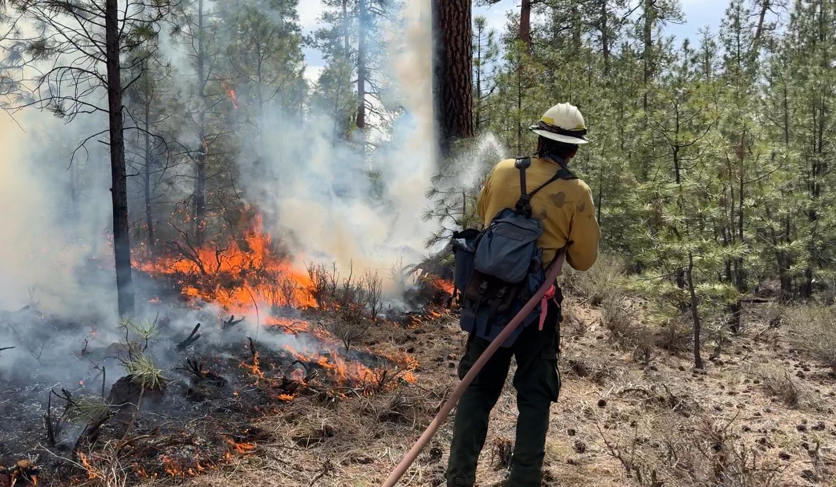 A firefighters sprays water out of hose at fire burning at the base of a pine