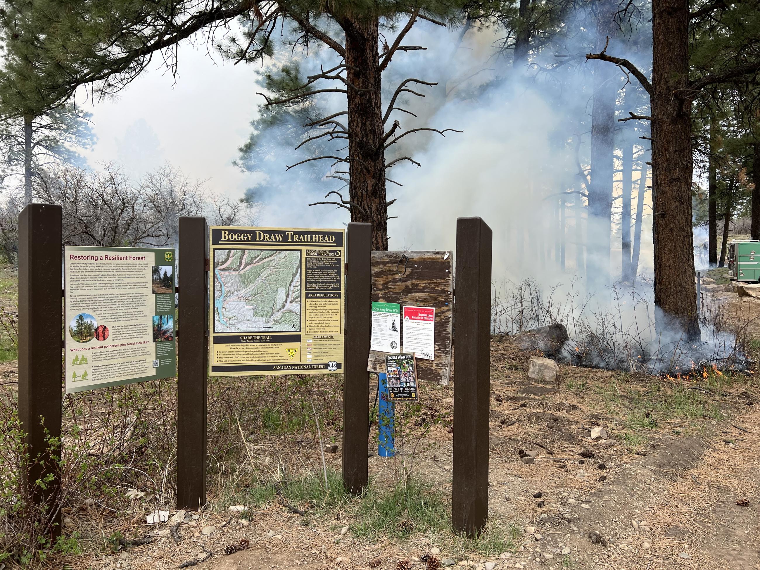 Smoke is visible rising from the forest floor with a series of signs marking a trailhead visible in front.