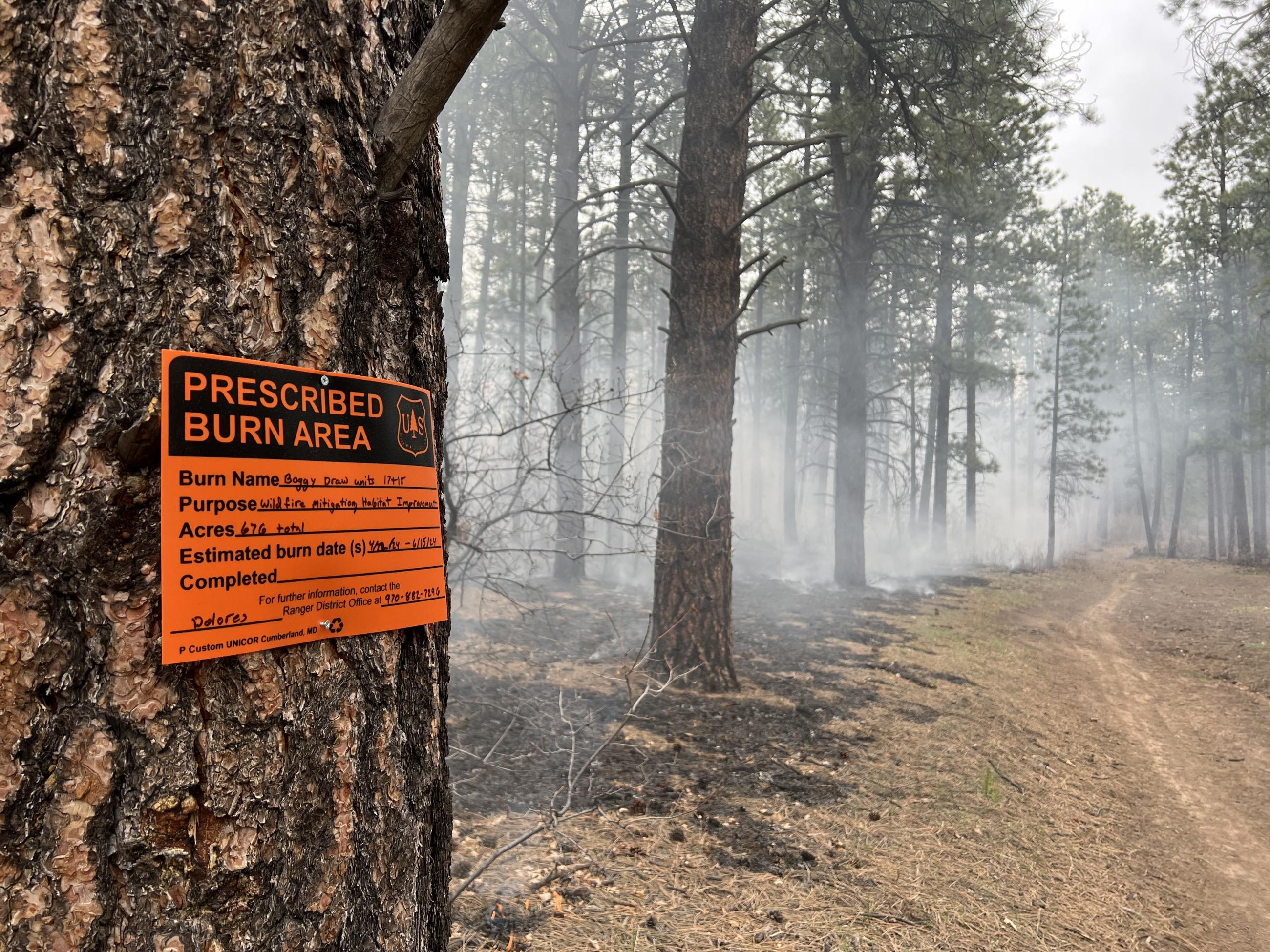 An orange sign marking the boundary of a prescribed fire is shown, stapled to a pine tree, with the ground smoking along a road in the distance.