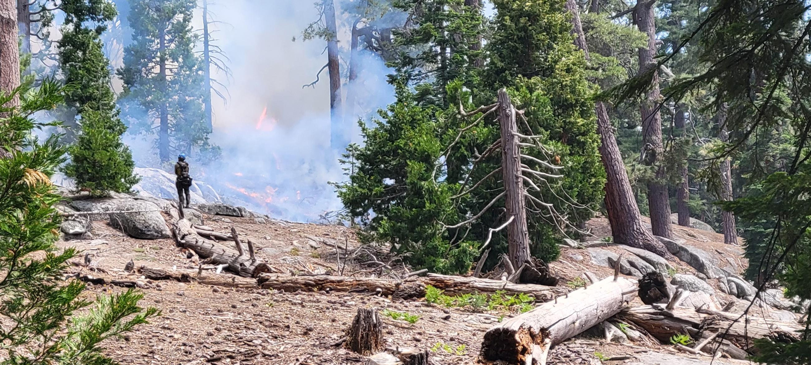 Photo of a forest with smoke and fire in the background. There is a firefighter watching the progress of the prescribed fire.  