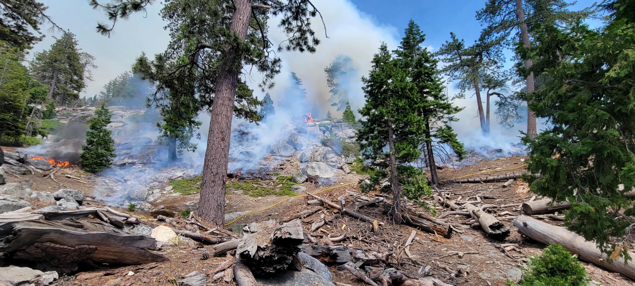 Photo of a forest with rocks, trees and dead and down fuels. The fuels are being consumed in the interior of the Park Ridge Prescribed fire.