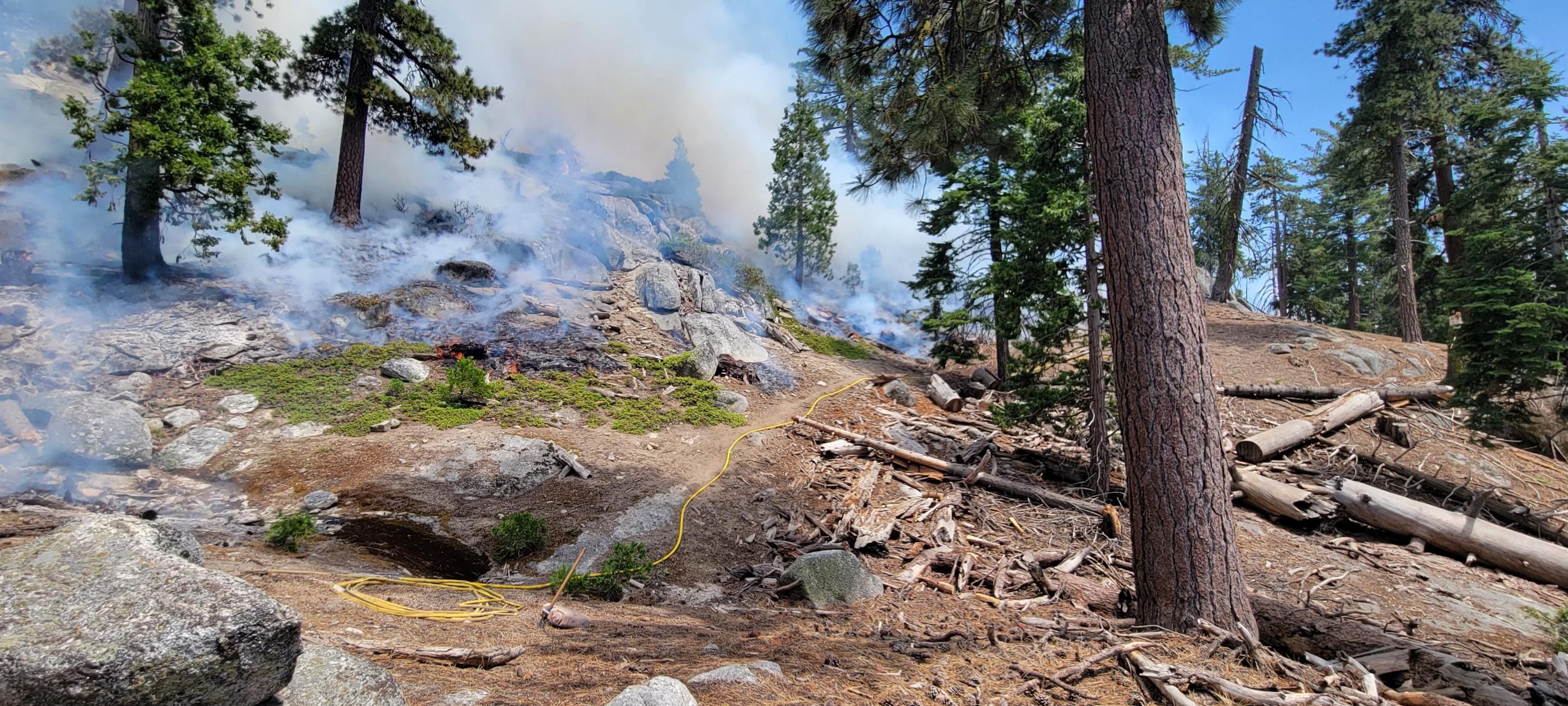 Photo of a forest with rocks, trees and dead and down fuels. The fuels are being consumed in the interior of the Park Ridge Prescribed fire.